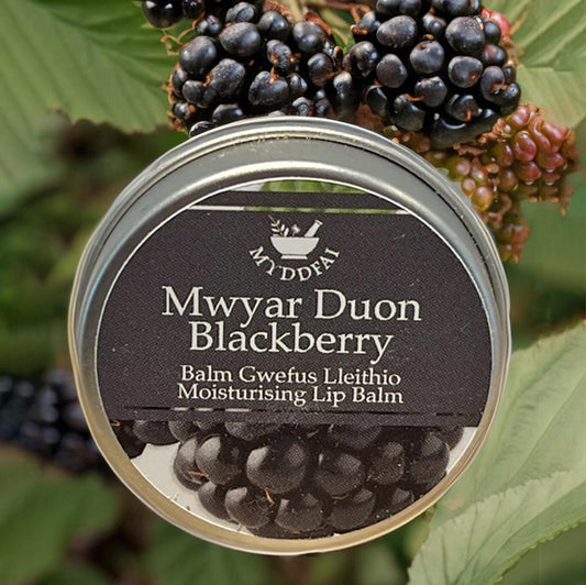 Lip Balm - Myddfai - Blackberry / Mwyar Duon