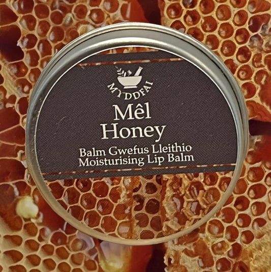 Lip Balm - Myddfai - Honey / Mêl