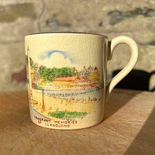 Little Cup - Fragrant Memories of Llandudno - Crown Devon Antique Souvenir (Preloved)