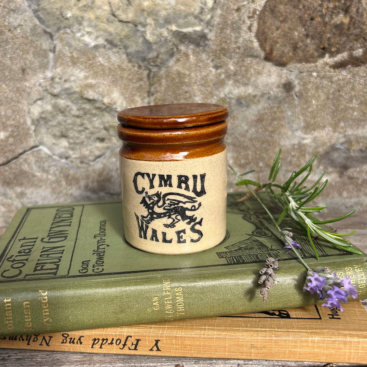 Little Pot - Stoneware - Dragon Cymru / Wales (Preloved)