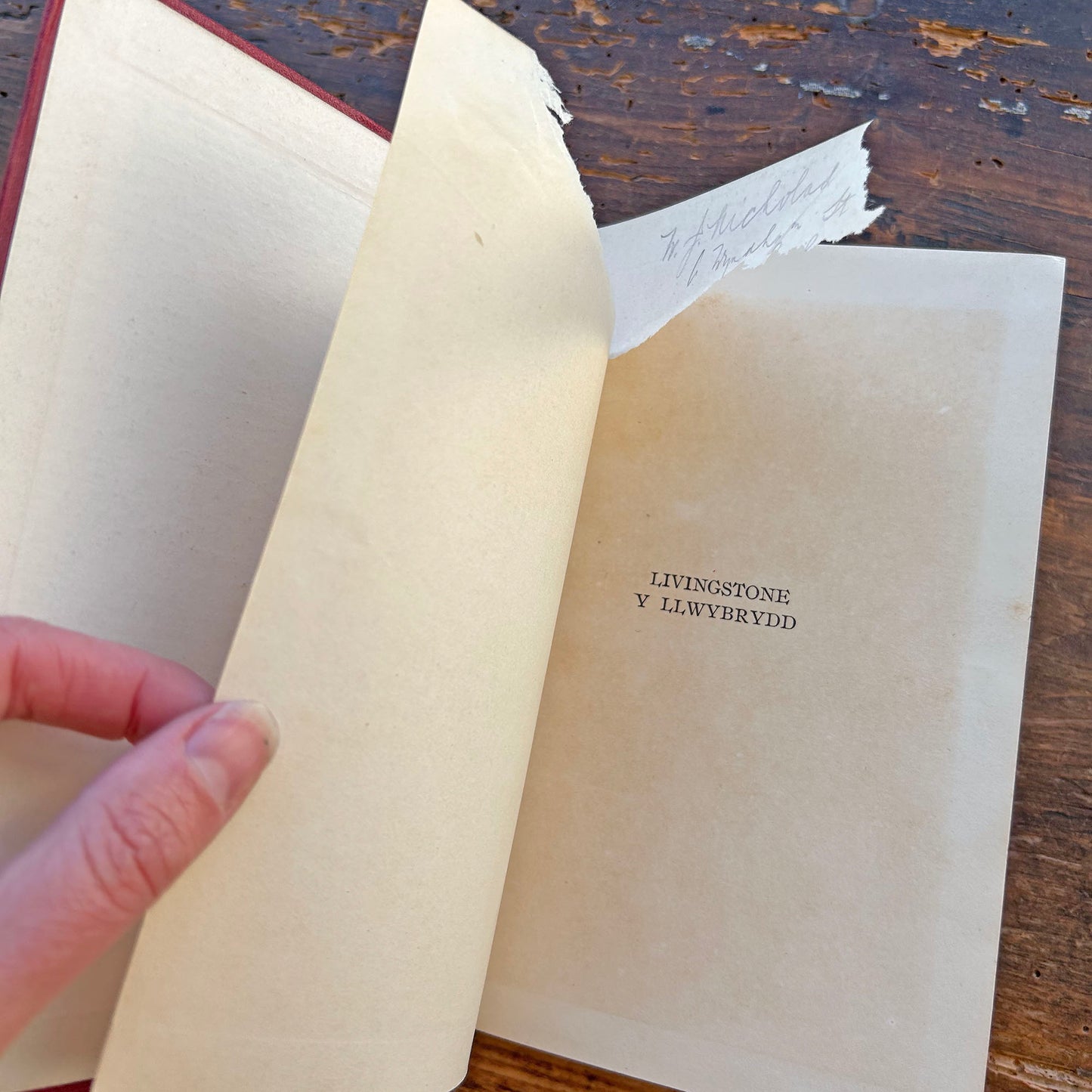 Livingstone y Llwybrydd - Basil Mathews - 1914 1st ed. (Preloved)