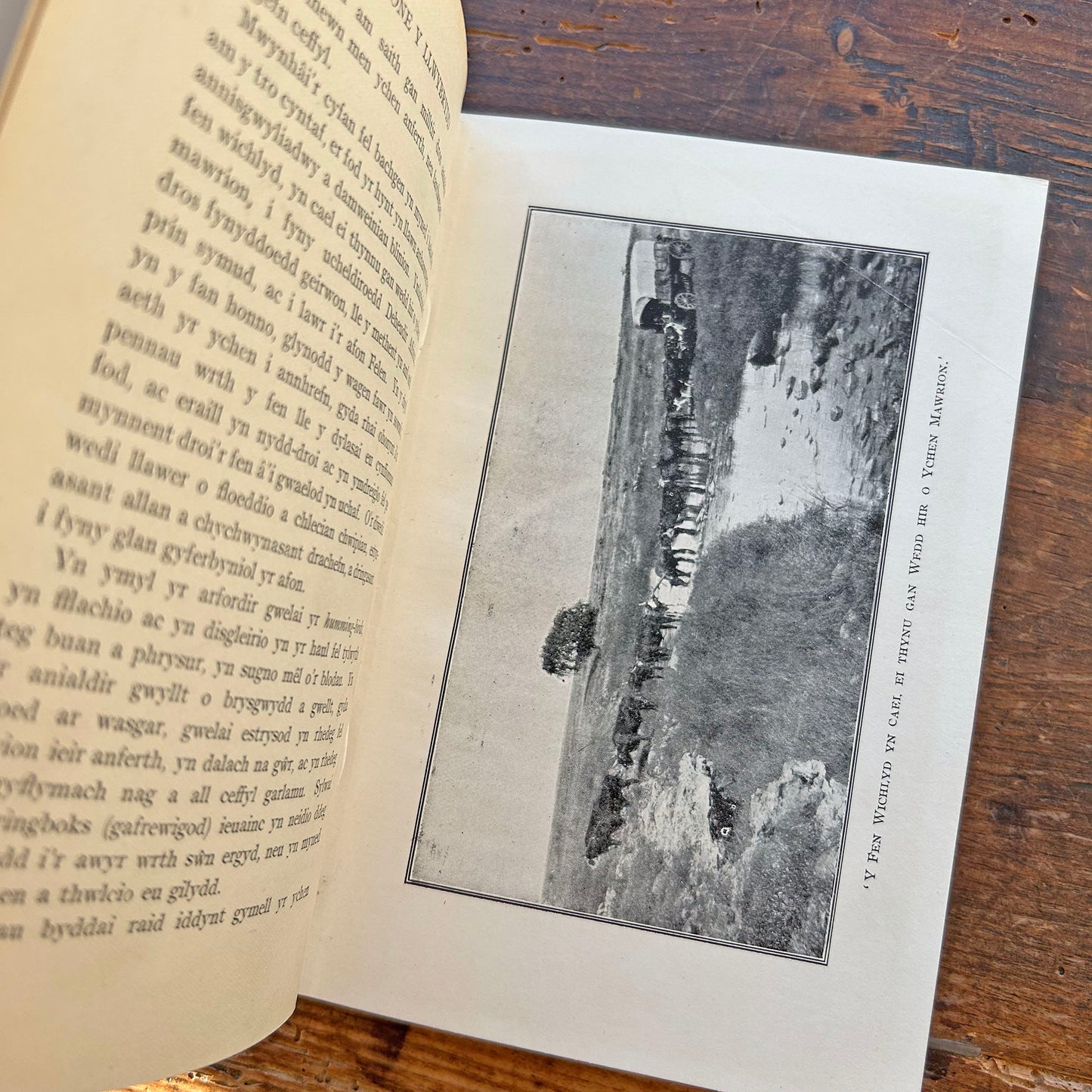 Livingstone y Llwybrydd - Basil Mathews - 1914 1st ed. (Preloved)