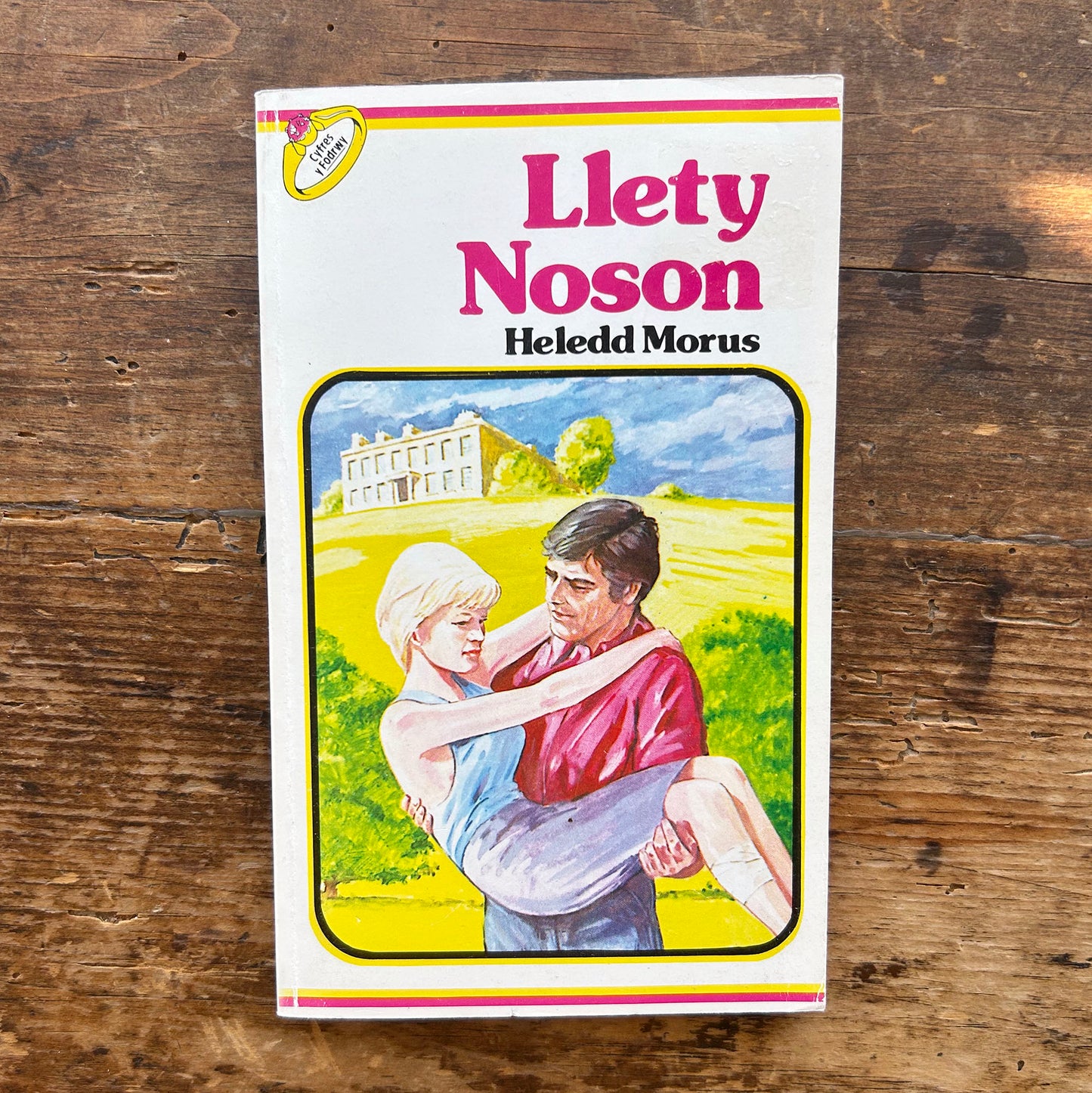 Llety Noson - Cyfres y Fodrwy - Heledd Morus 1982 (Preloved)