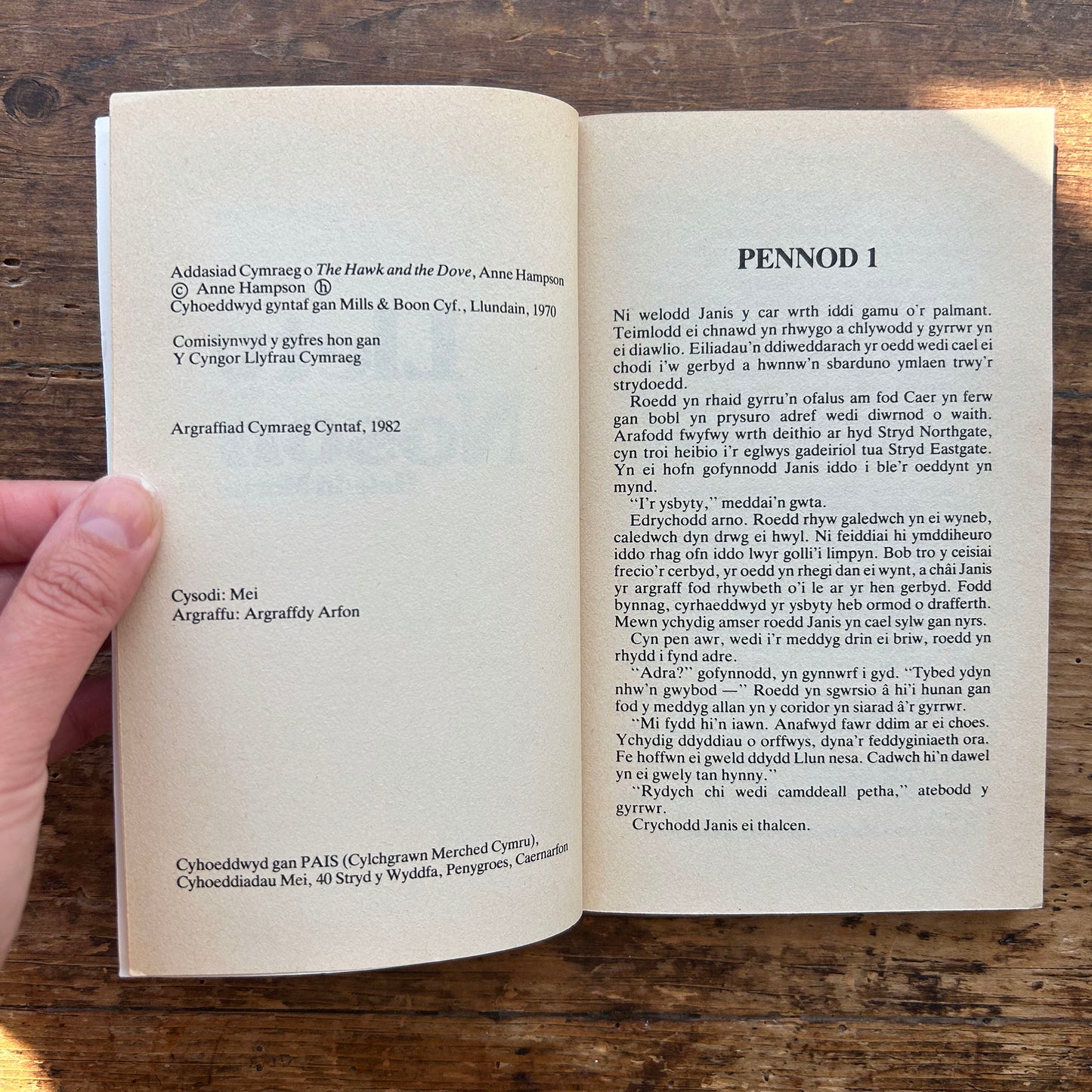 Llety Noson - Cyfres y Fodrwy - Heledd Morus 1982 (Preloved)