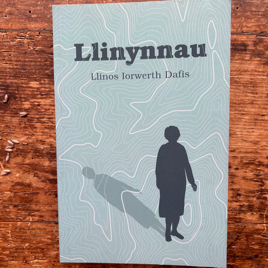 Llinynnau - Llinos Iorwerth Dafis - 2018 (Preloved)