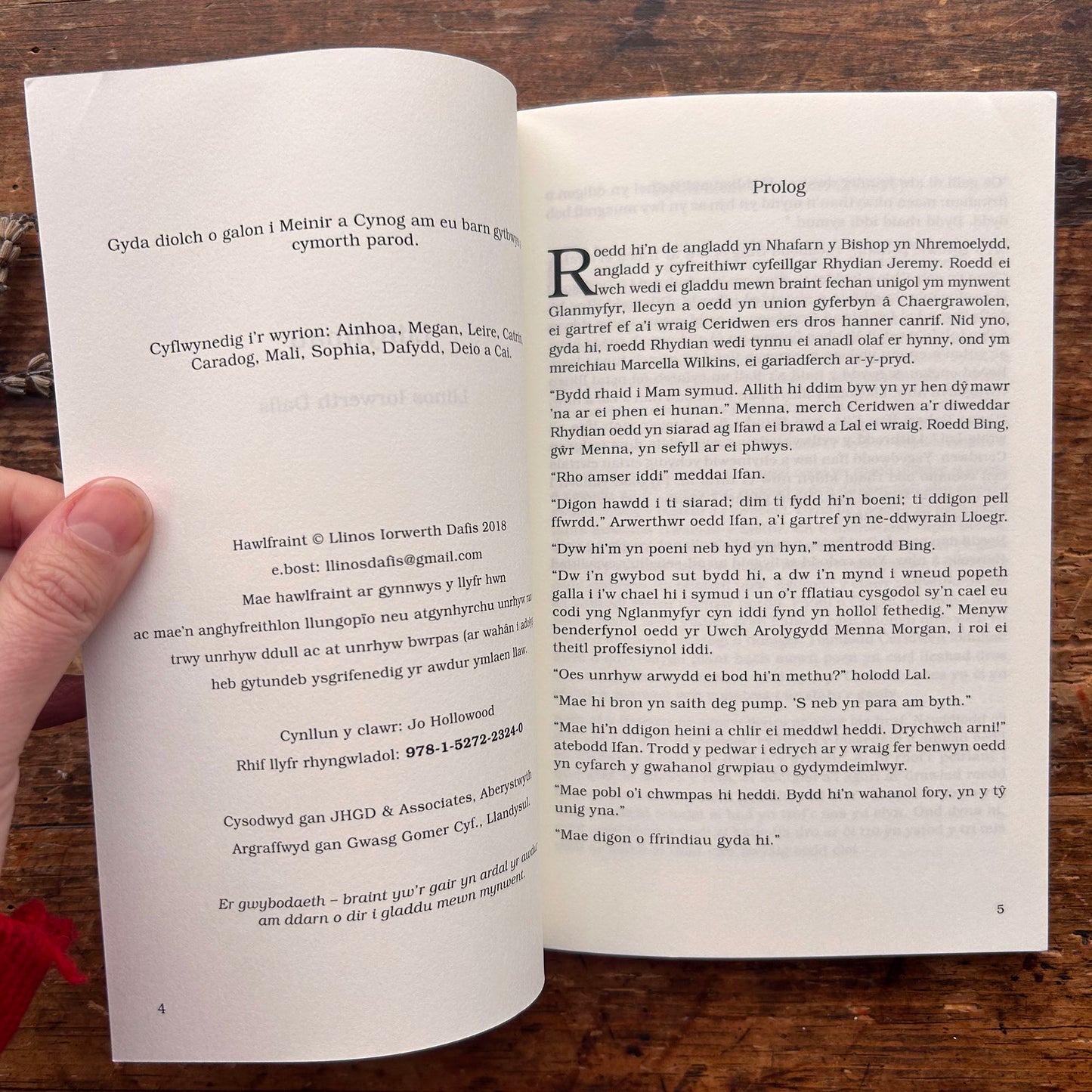 Llinynnau - Llinos Iorwerth Dafis - 2018 (Preloved)