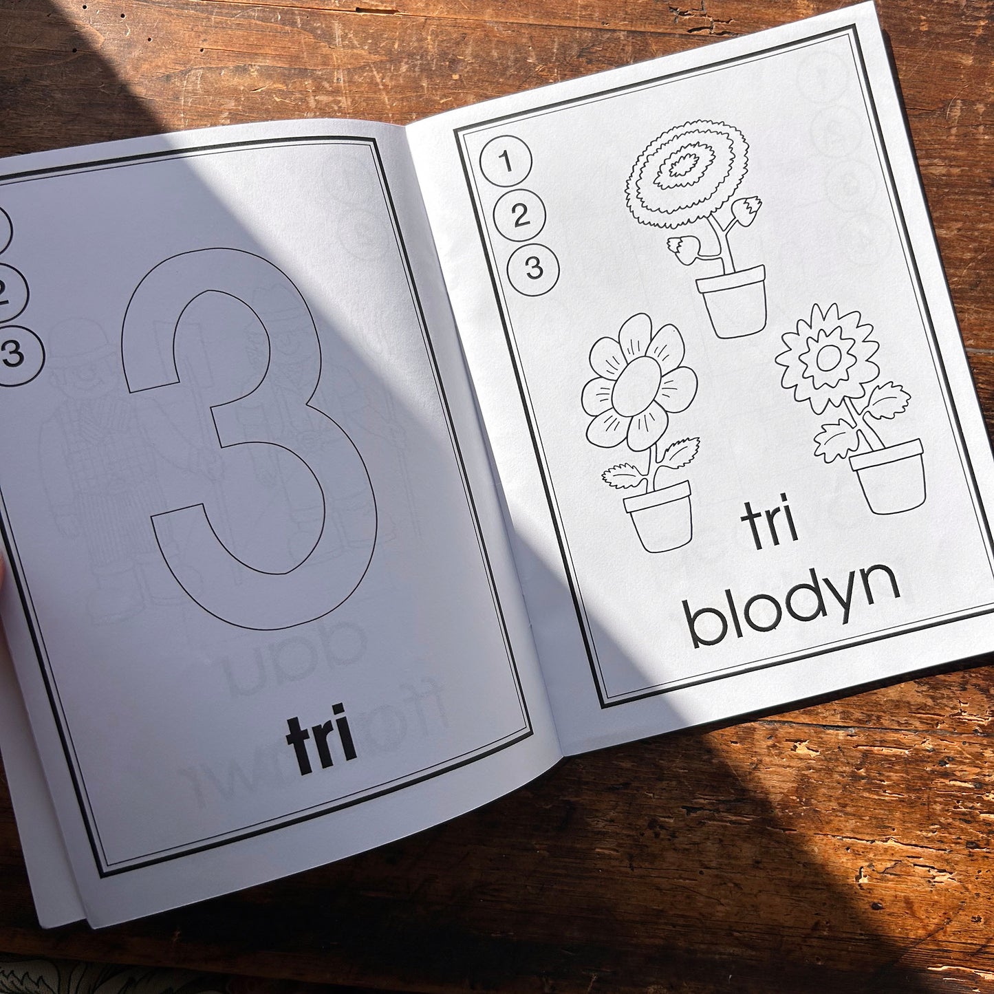 Lliwia'r 123 - Colouring Book (Preloved)