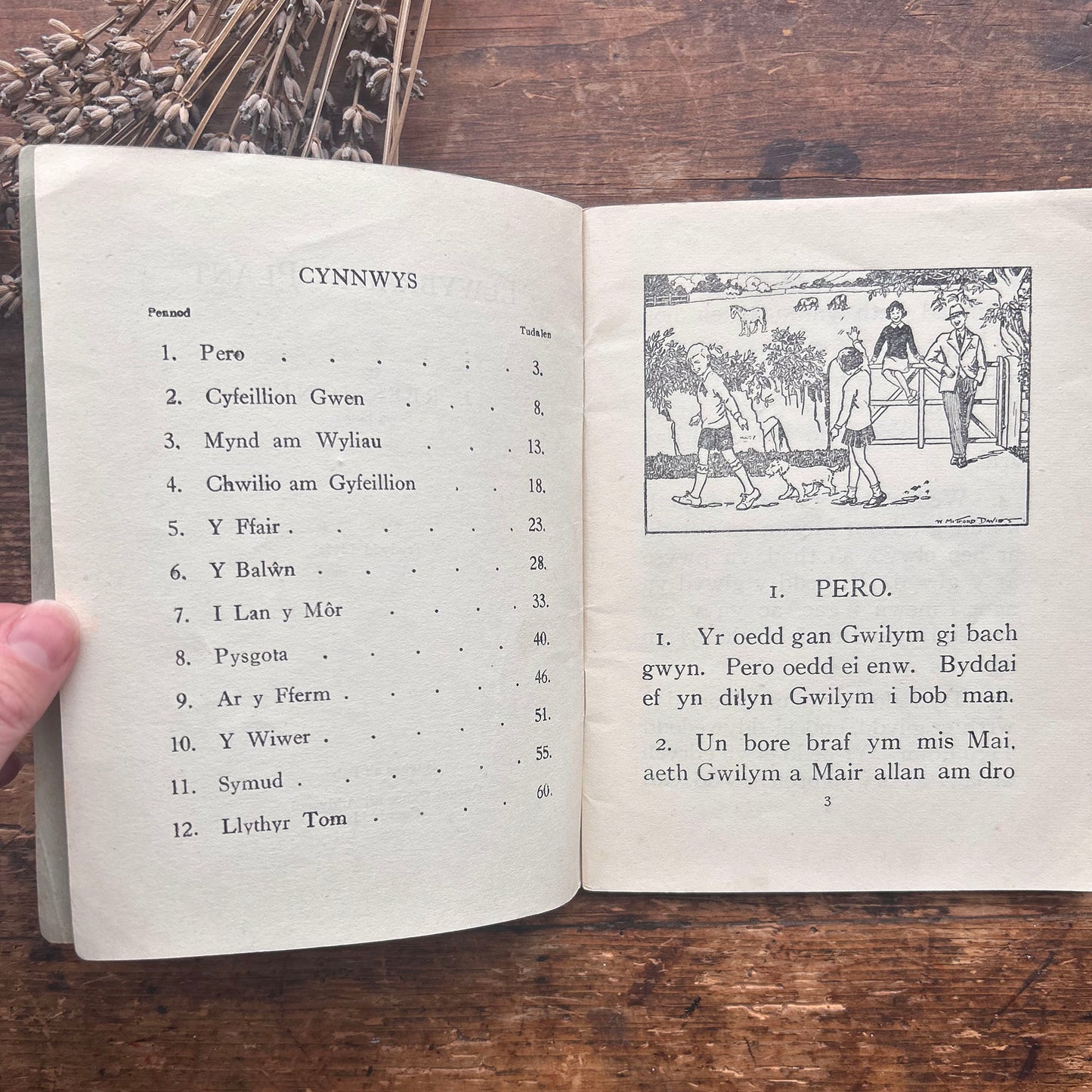 Llwybrau'r Plant - J. Rees Jones - 1950's (Preloved)