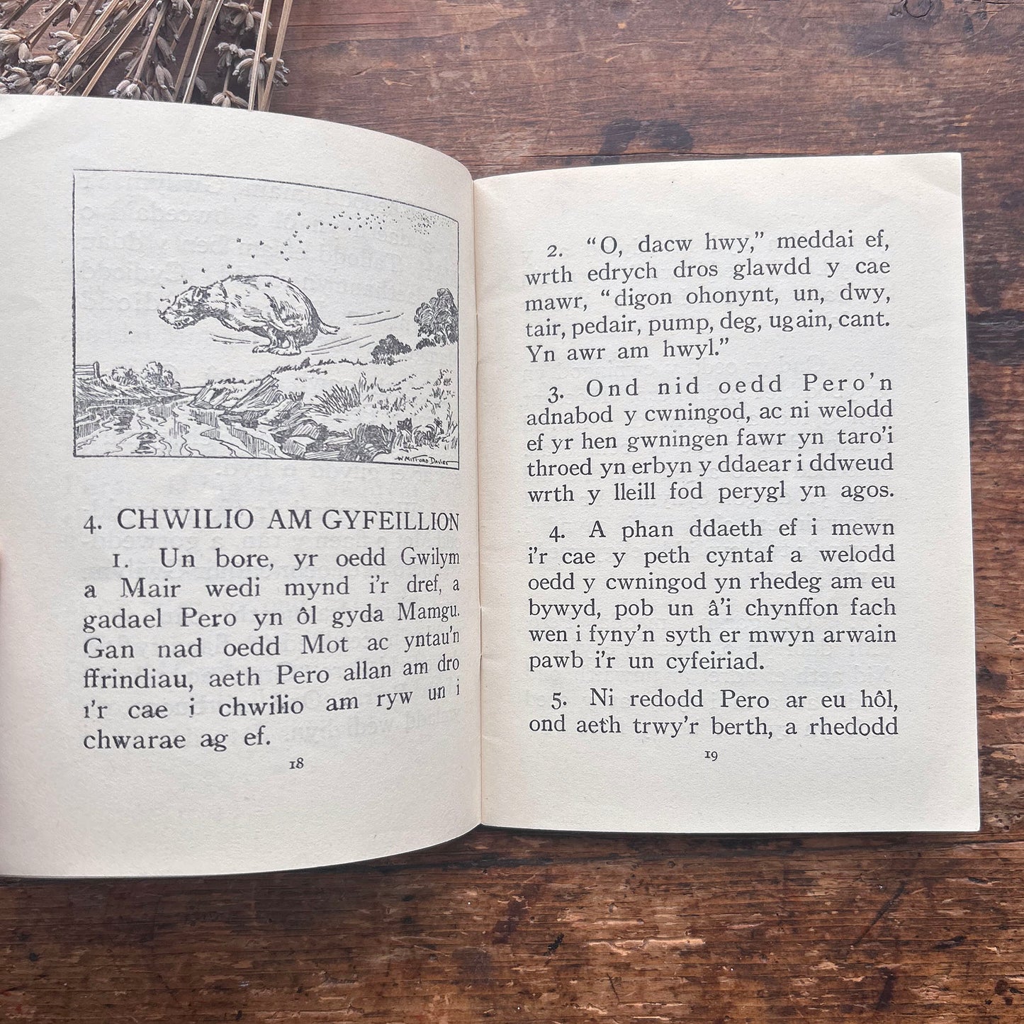 Llwybrau'r Plant - J. Rees Jones - 1950's (Preloved)