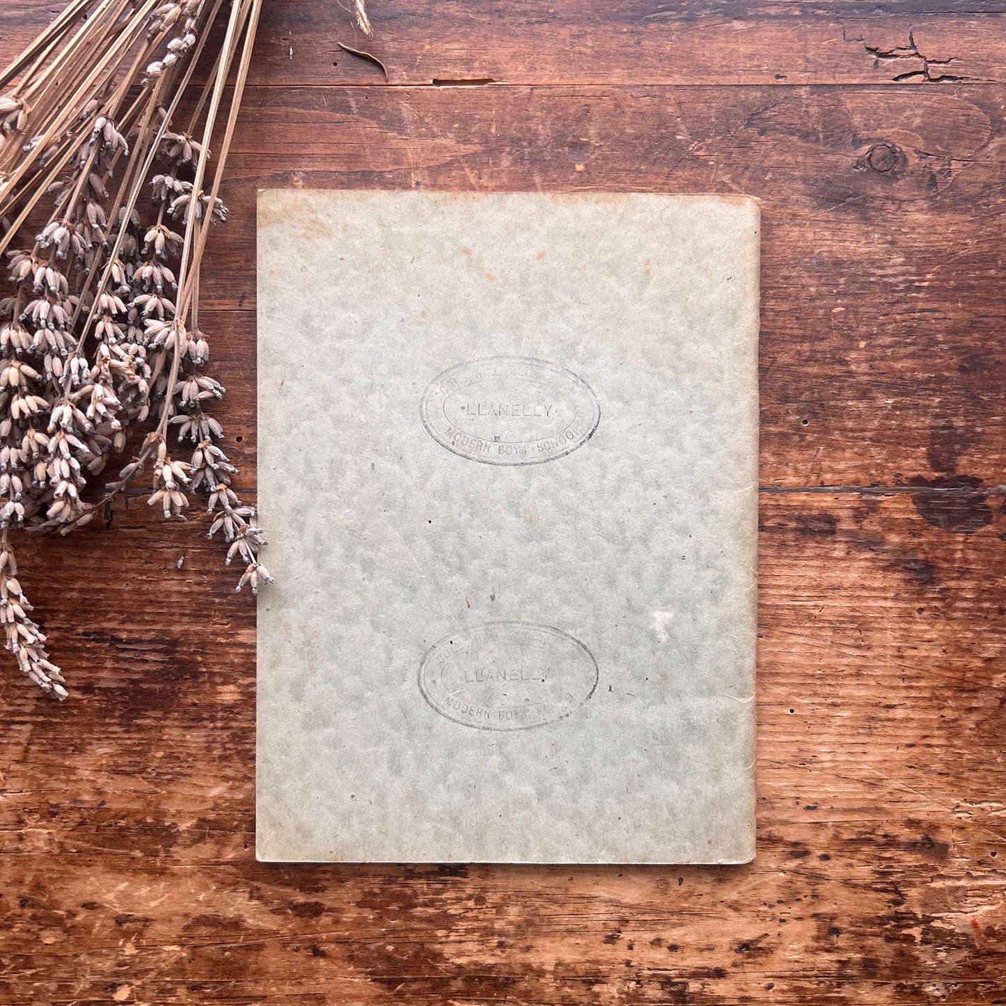 Llwybrau'r Plant - J. Rees Jones - 1950's (Preloved)