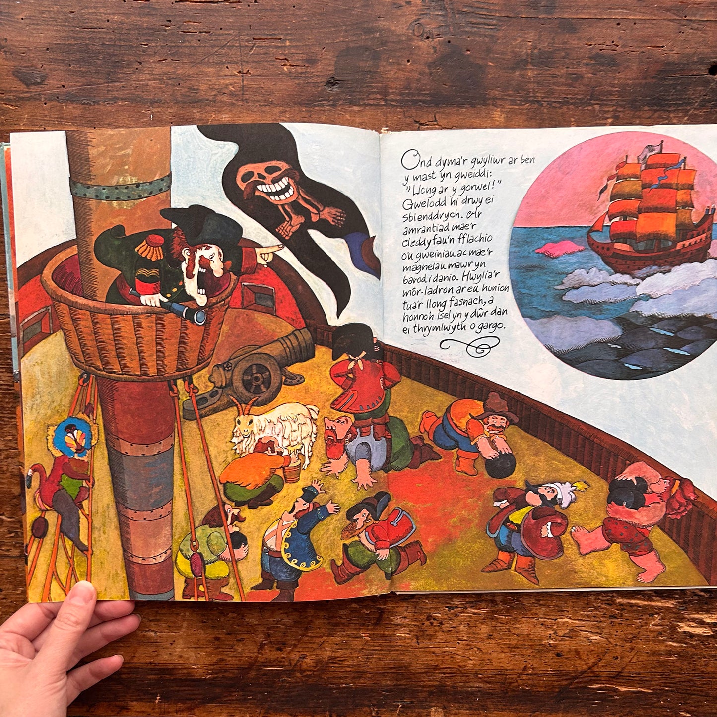 Llyf Mawr y Môr-ladron - Walter Grieder - 1972 (Preloved)