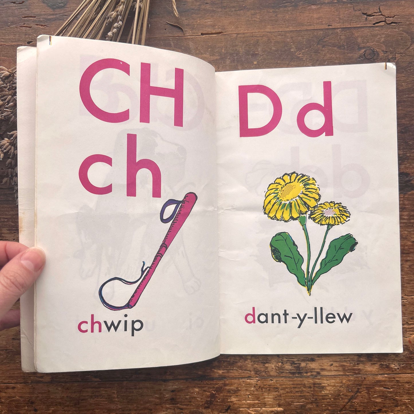 Llyfr ABC - Vintage Welsh Alphabet - Margaret Quayle - 1974 (Preloved)