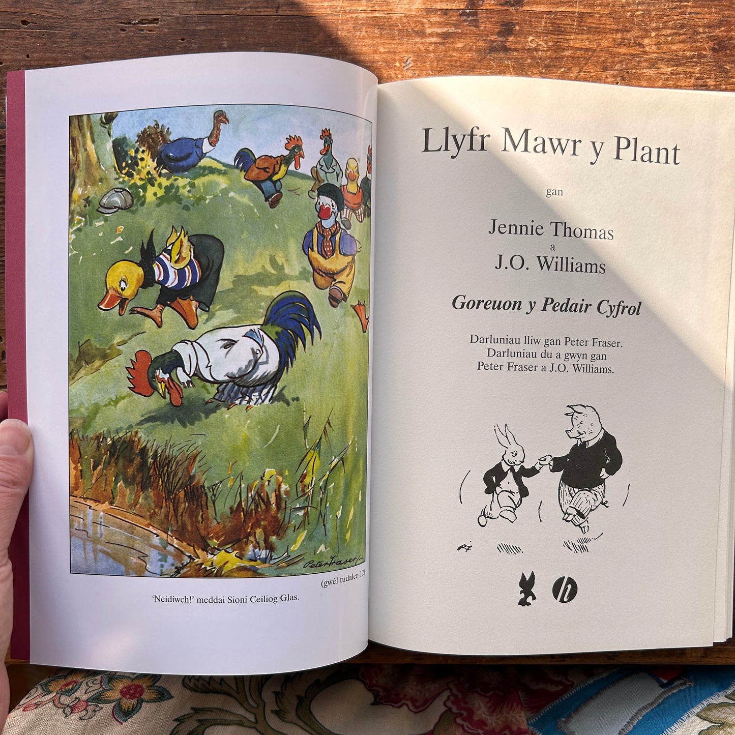 Llyfr Mawr Y Plant - Jennie Thomas - 2006 (Preloved)