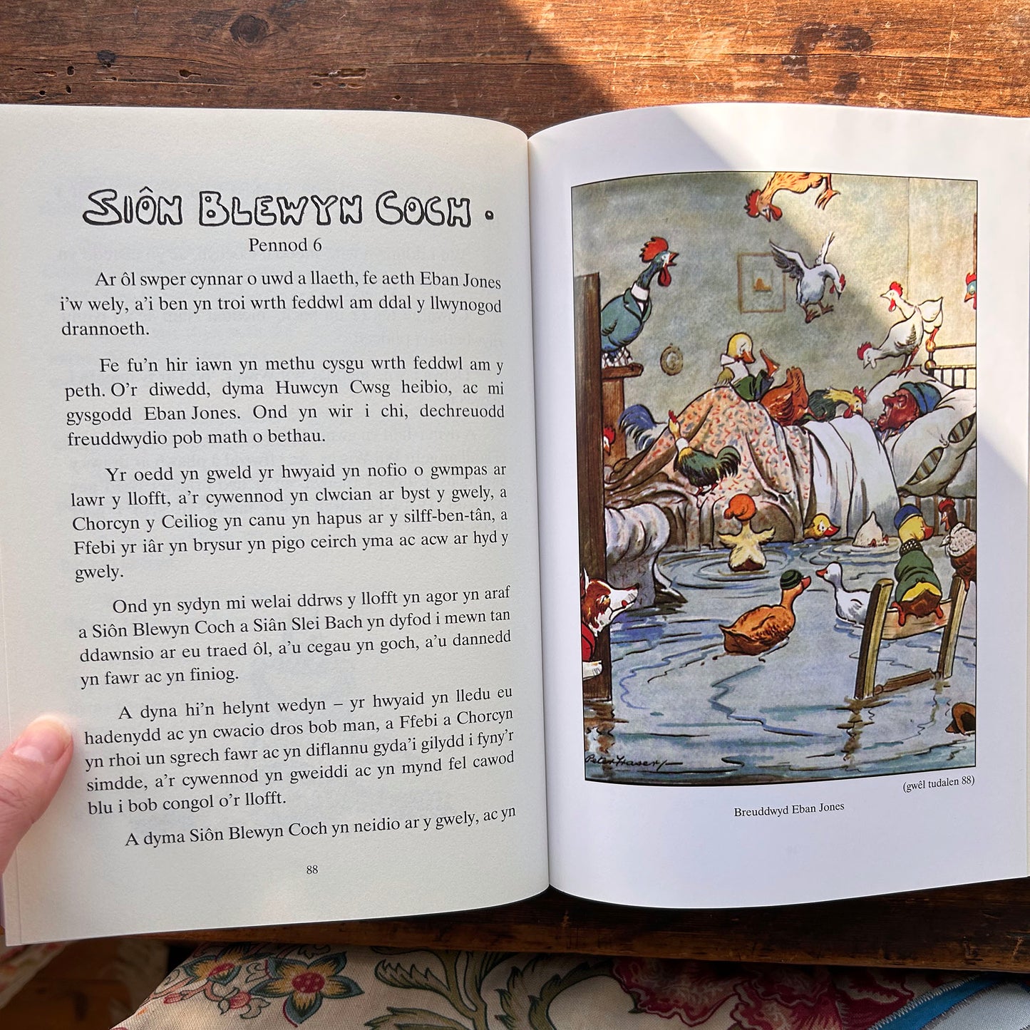 Llyfr Mawr Y Plant - Jennie Thomas - 2006 (Preloved)