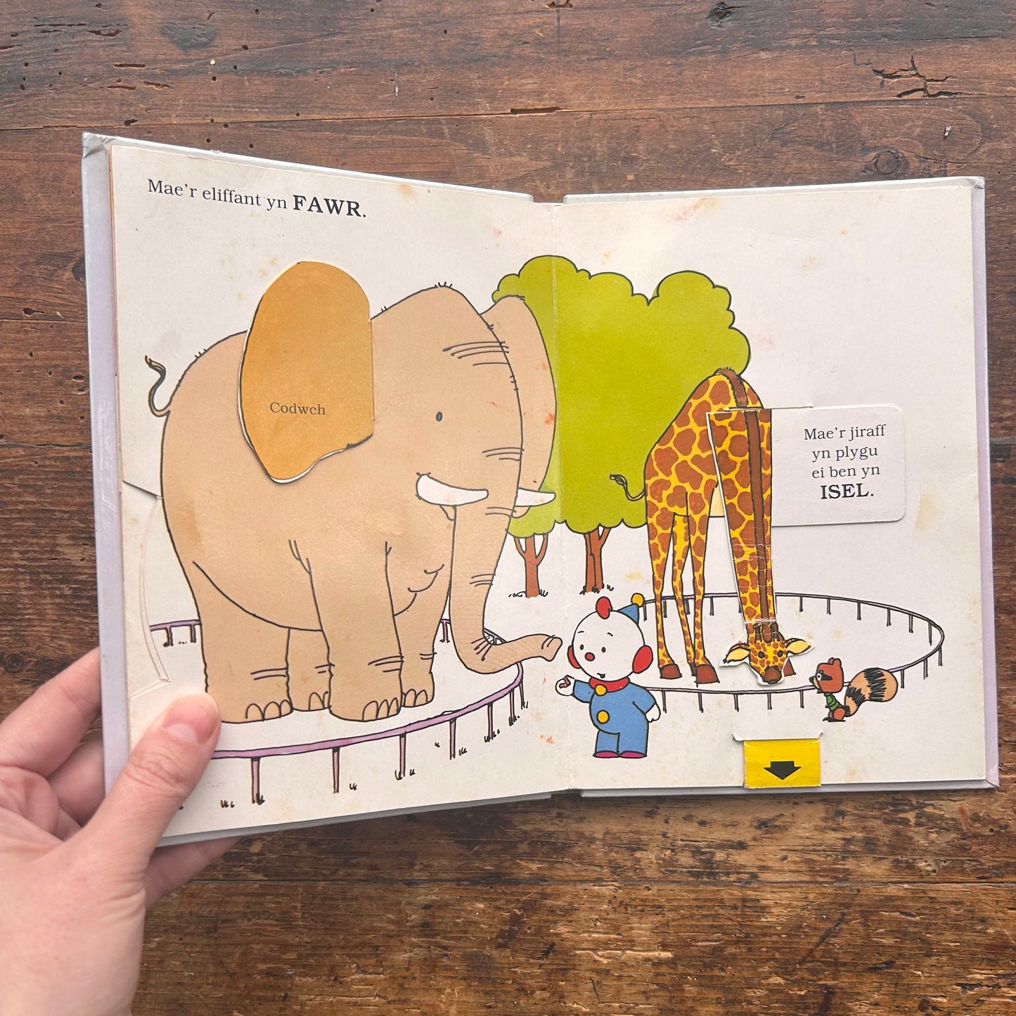 Llyfr Sbonc - Croes Ystyr - 1983 (Preloved)