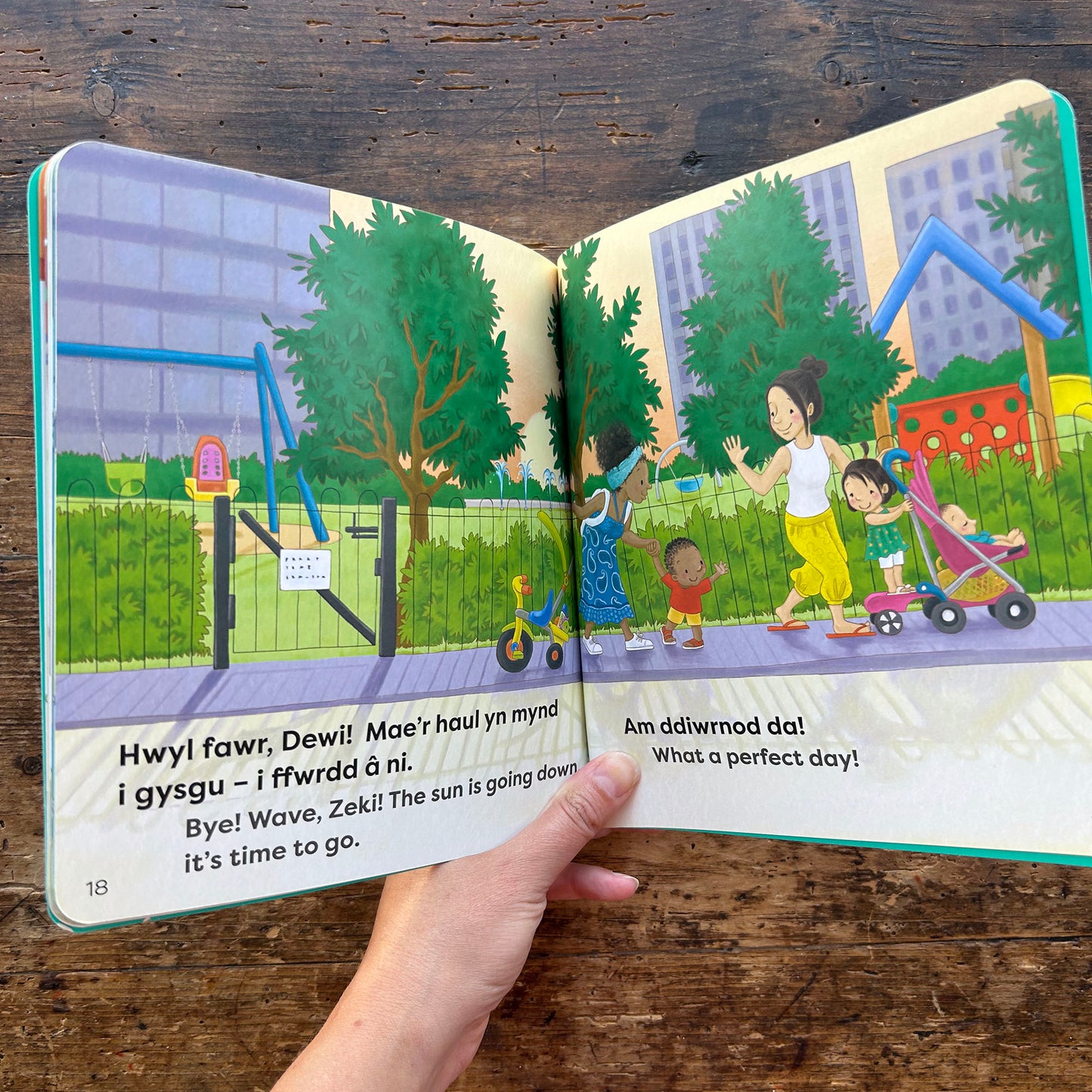 Mae Dewi yn Mynd i'r Parc / Zeki Goes to the Park (Preloved)