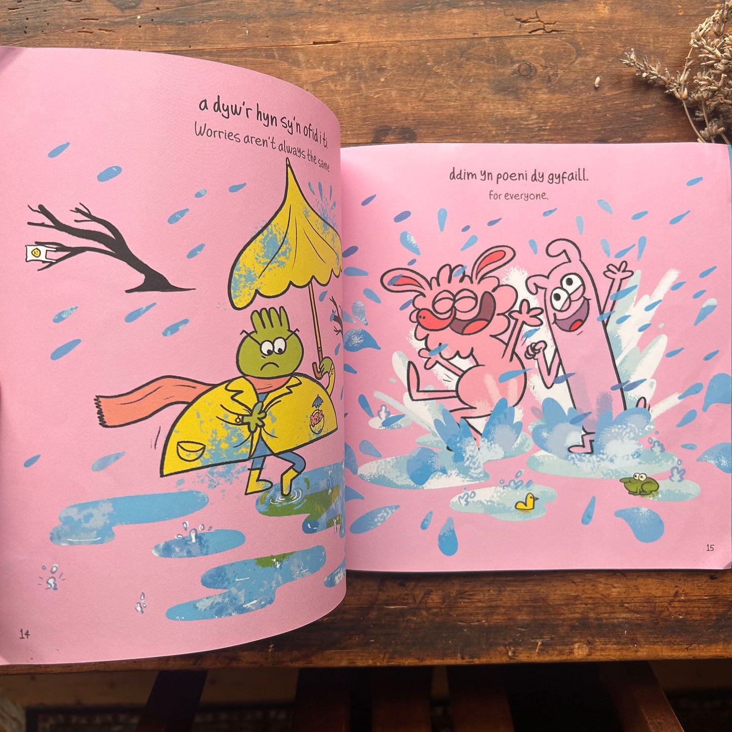 Mae gan Bawb Ofidiau / Everybody Worries (Preloved)