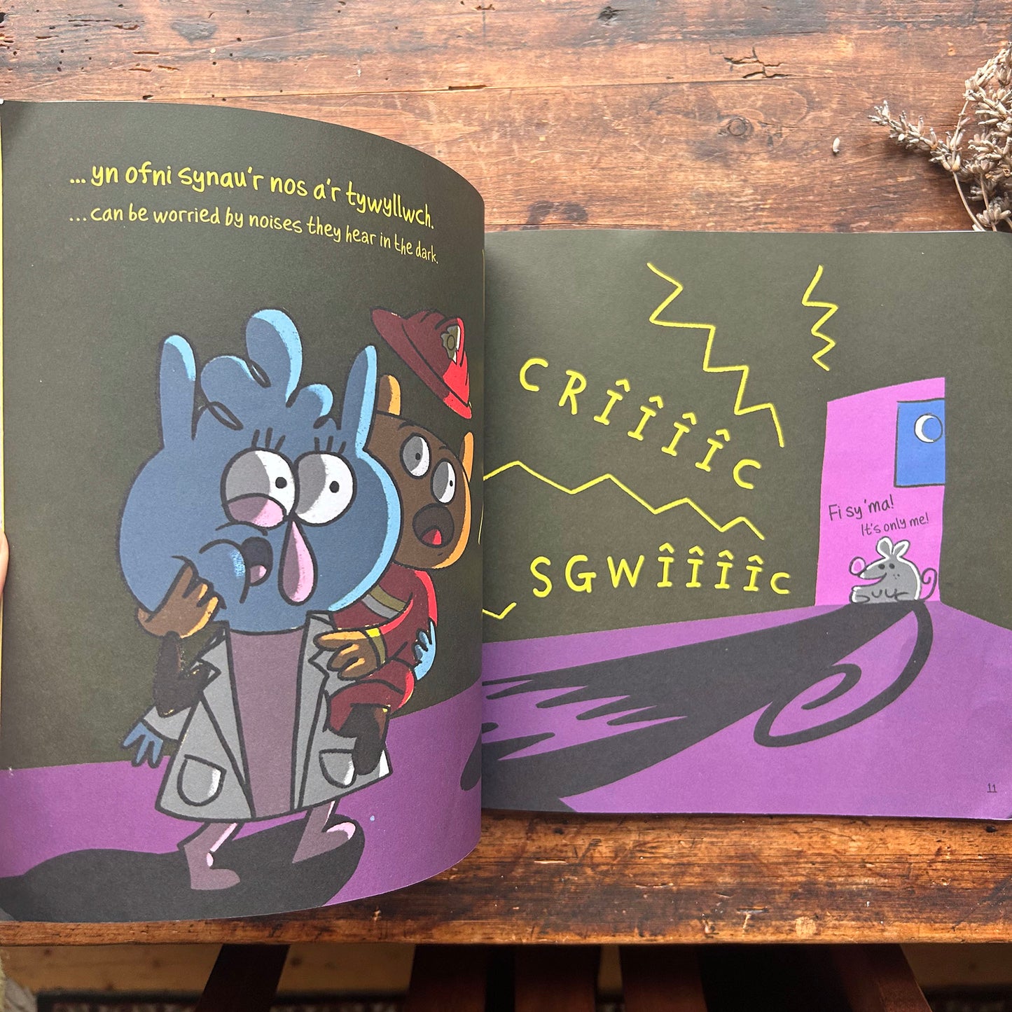 Mae gan Bawb Ofidiau / Everybody Worries (Preloved)