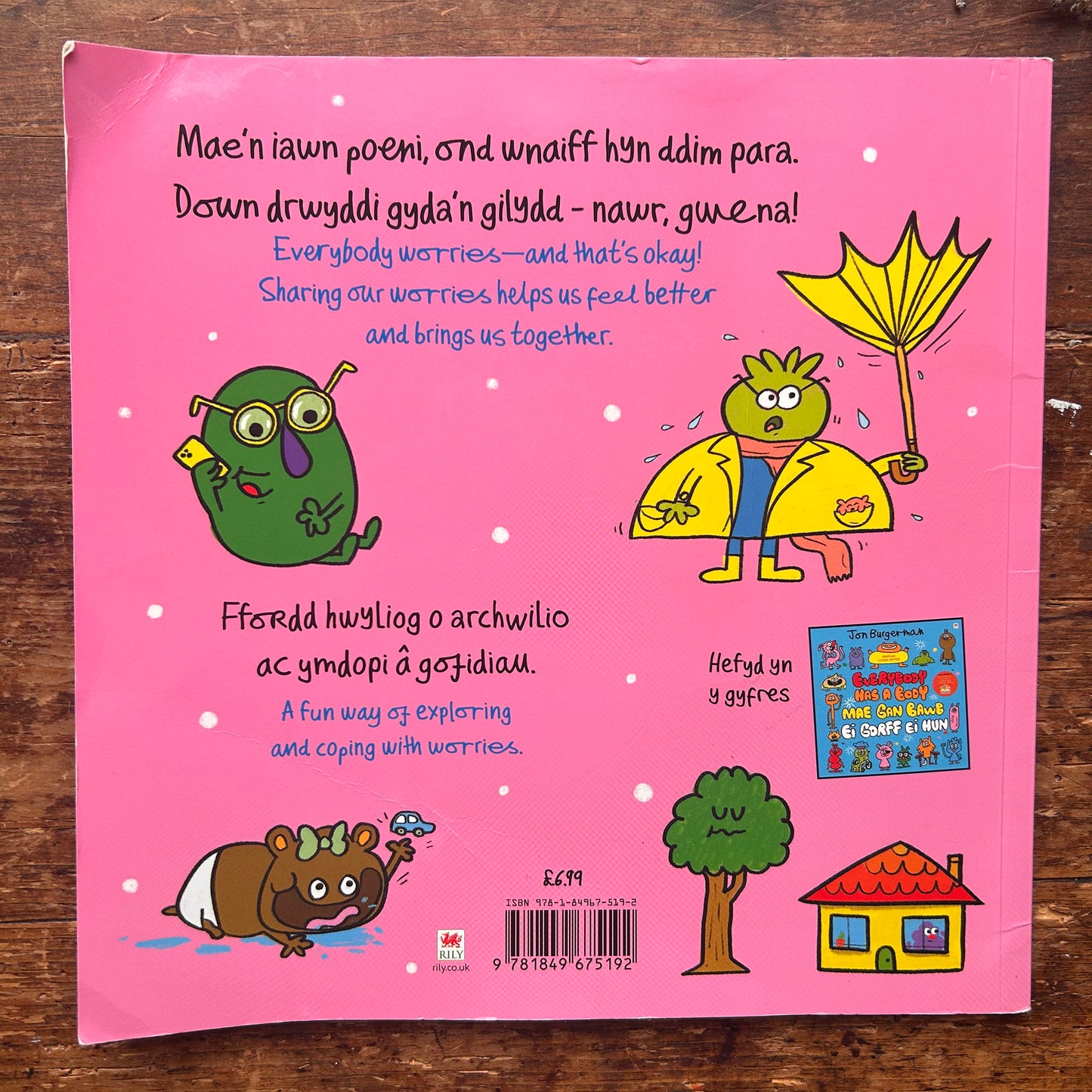 Mae gan Bawb Ofidiau / Everybody Worries (Preloved)