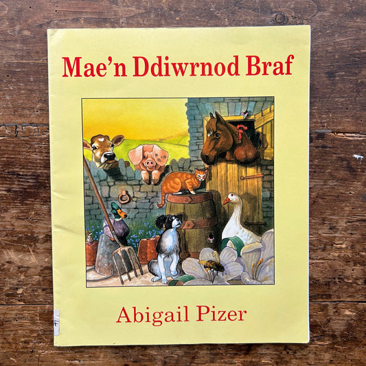 Mae'n Ddiwrnod Braf - Abigail Pizer 1993 (Preloved)