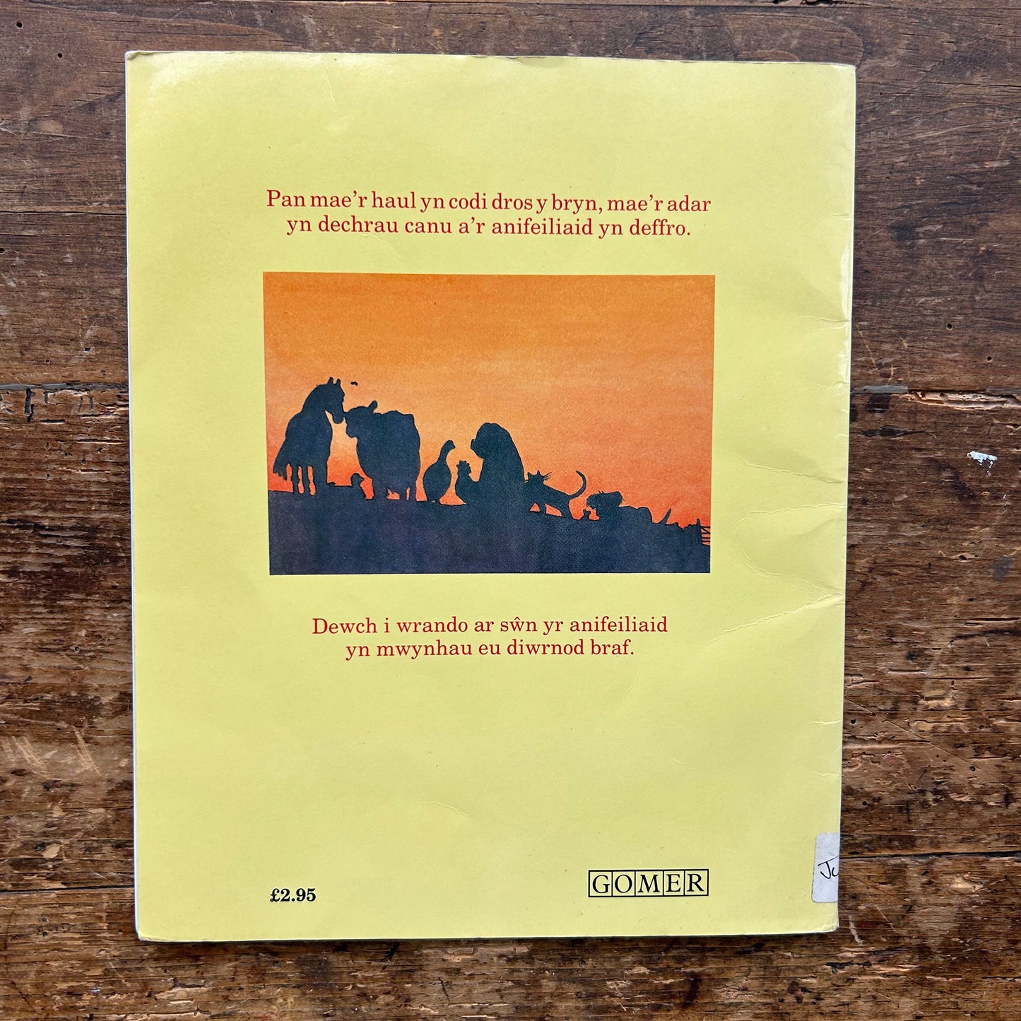 Yr Anweledig - Yr Anweledig - Tom Percival (Preloved)