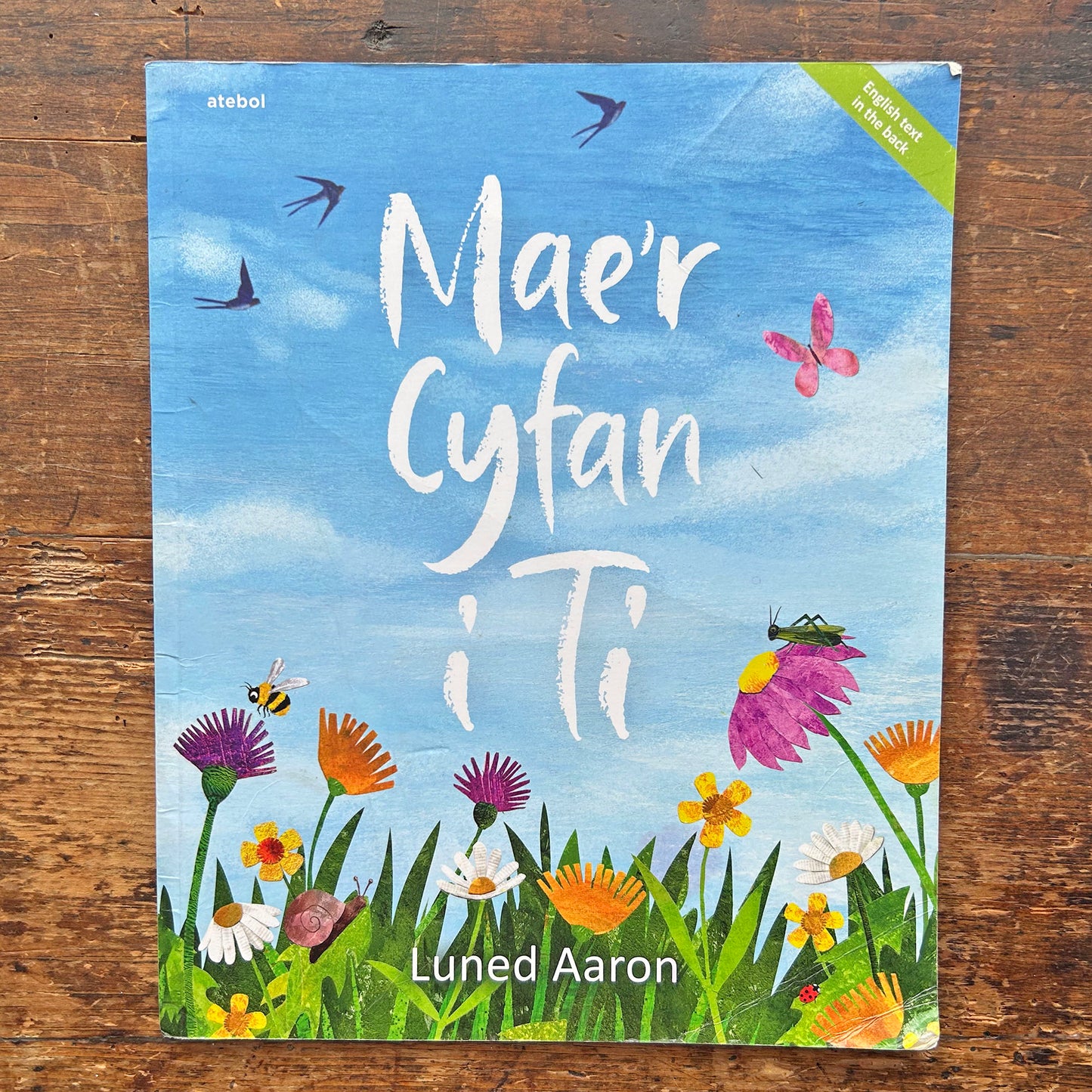 Mae'r Cyfan i Ti - Luned Aaron (Preloved)