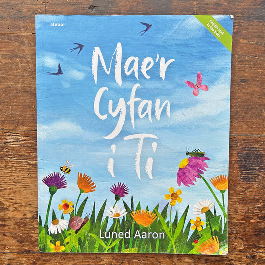 Mae'r Cyfan i Ti - Luned Aaron (Preloved)