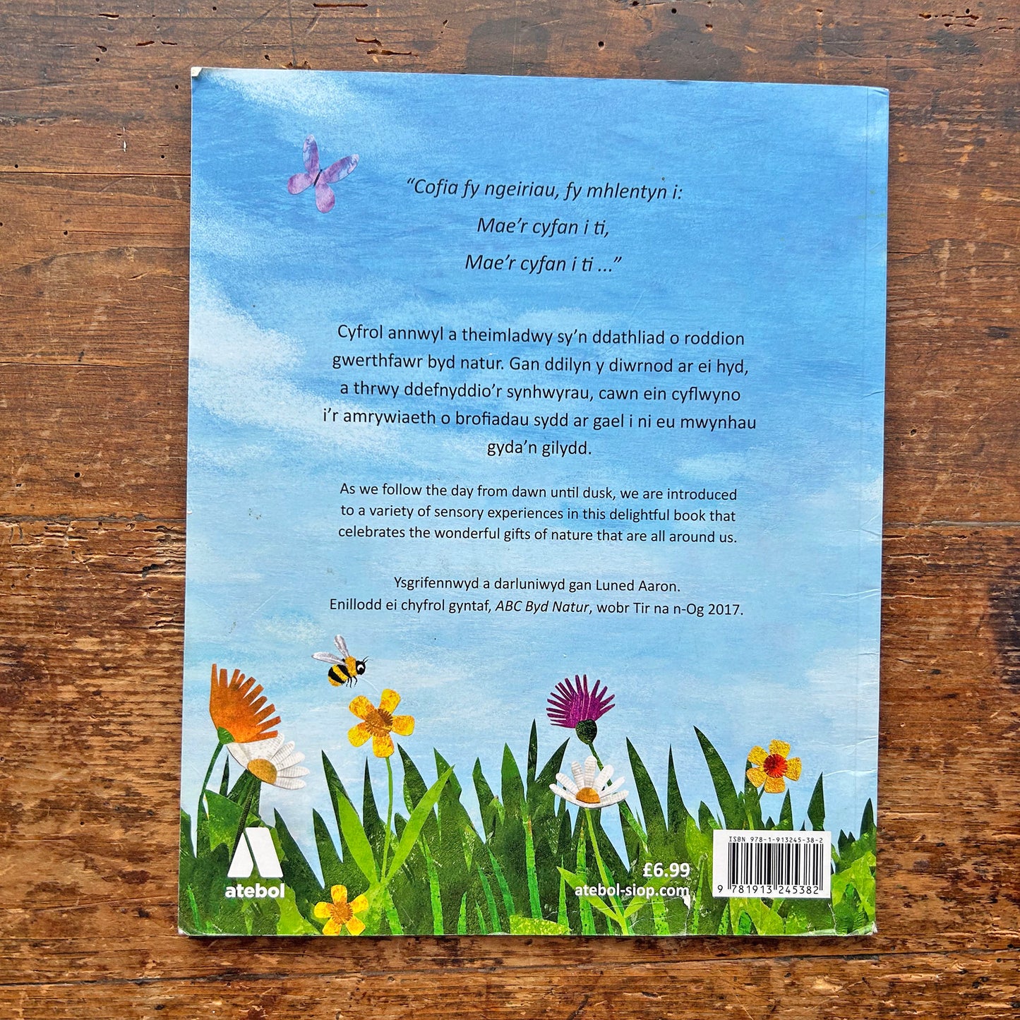 Mae'r Cyfan i Ti - Luned Aaron (Preloved)