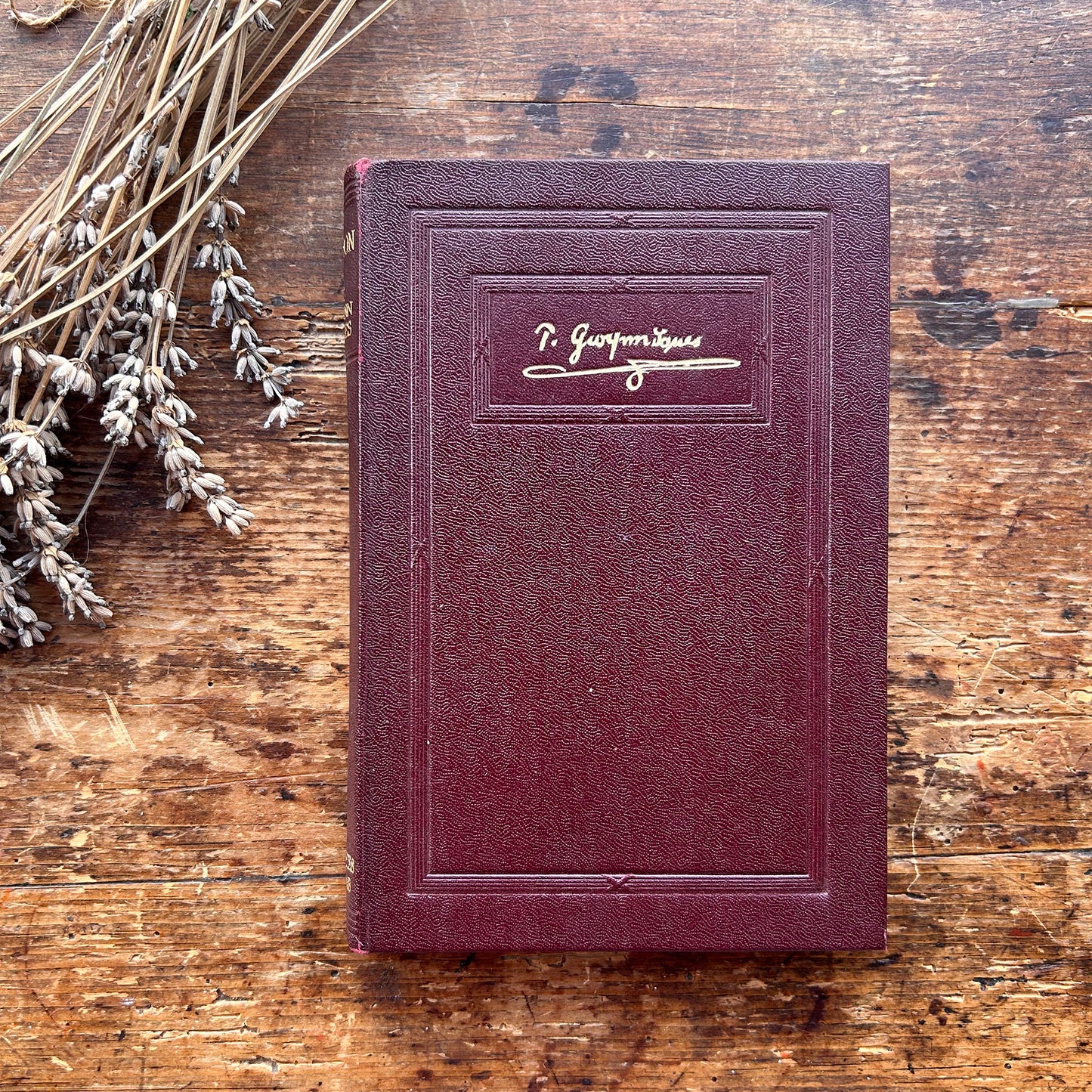 Manion - T Gwynn Jones - 1930 (Preloved)