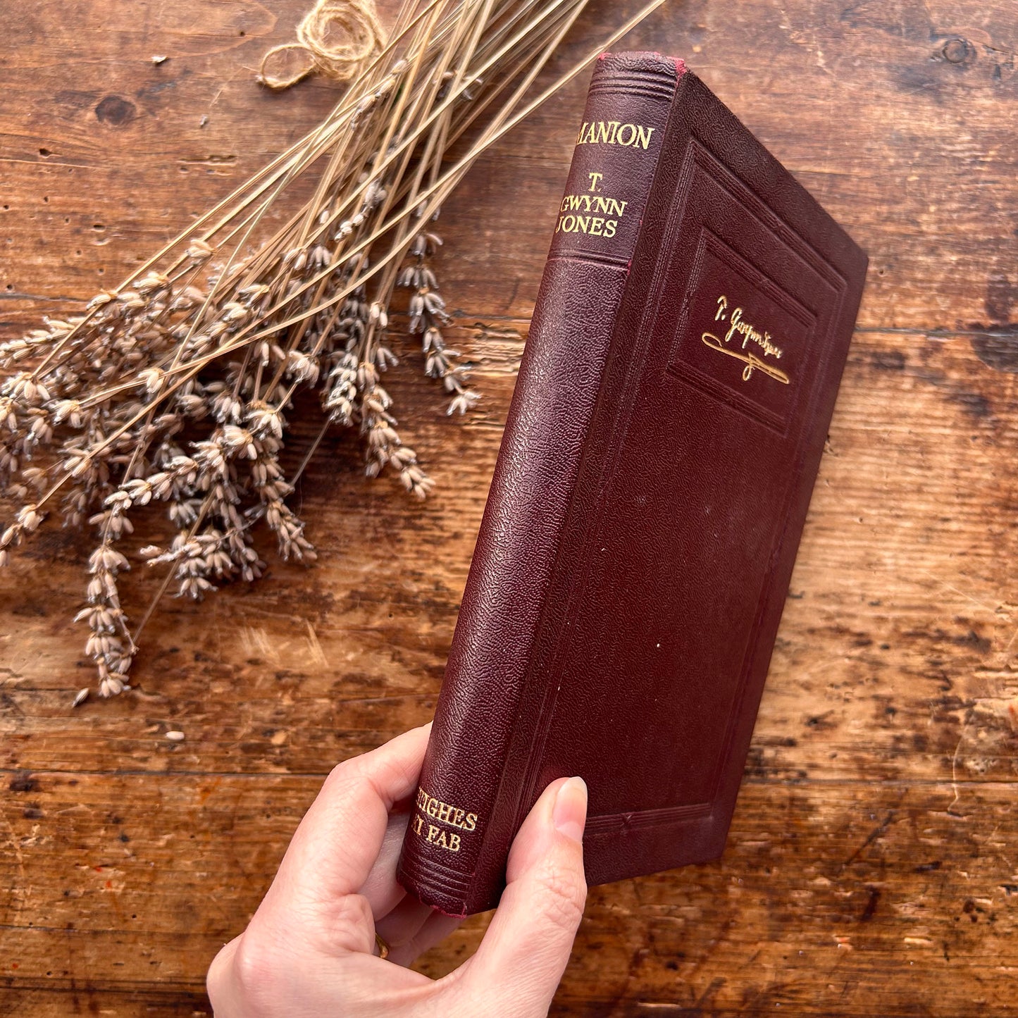 Manion - T Gwynn Jones - 1930 (Preloved)