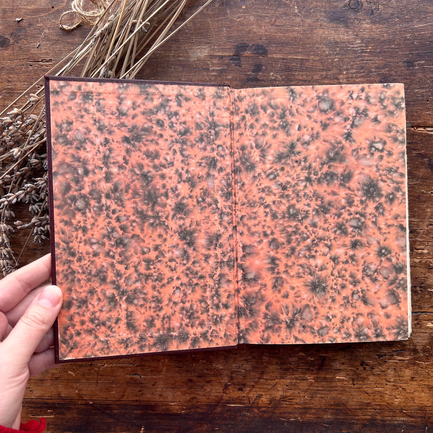 Manion - T Gwynn Jones - 1930 (Preloved)