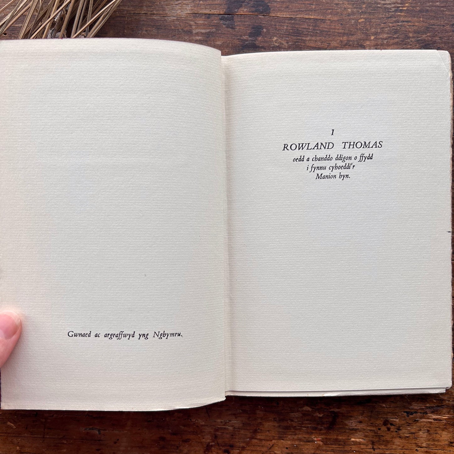 Manion - T Gwynn Jones - 1930 (Preloved)