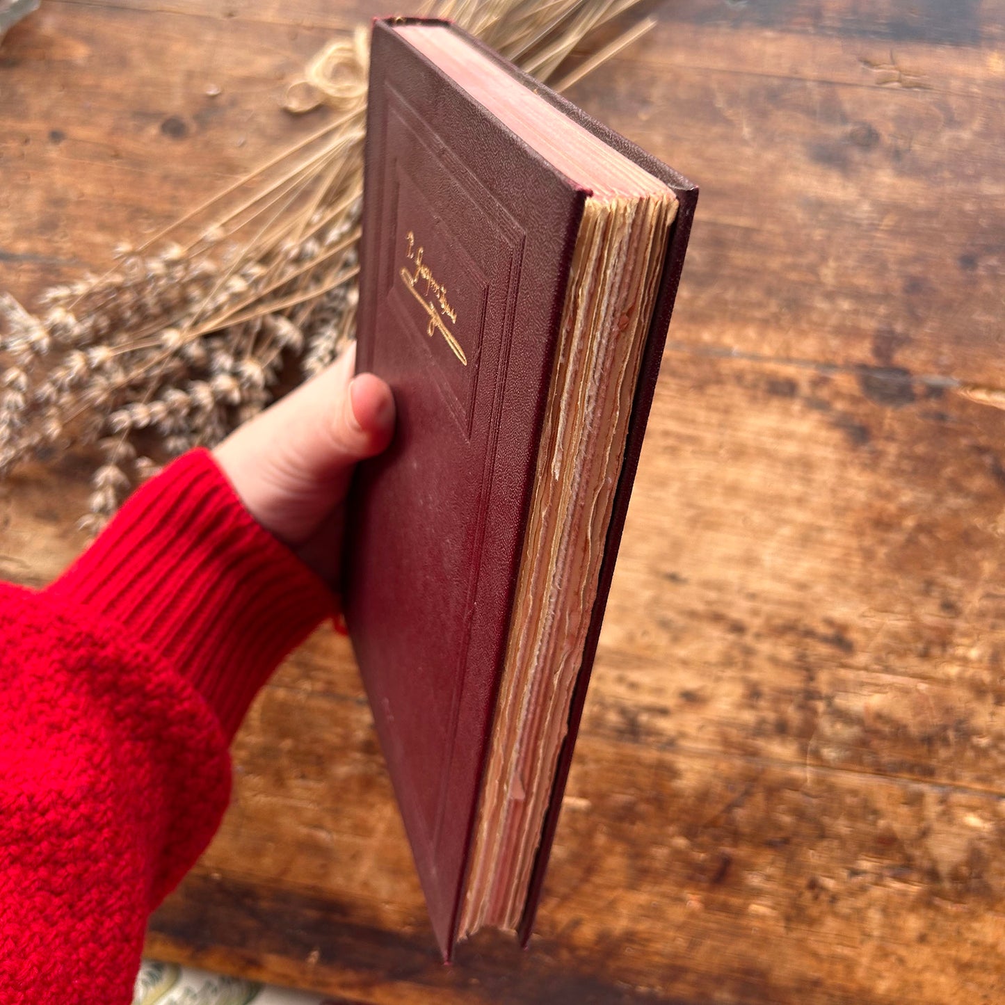 Manion - T Gwynn Jones - 1930 (Preloved)