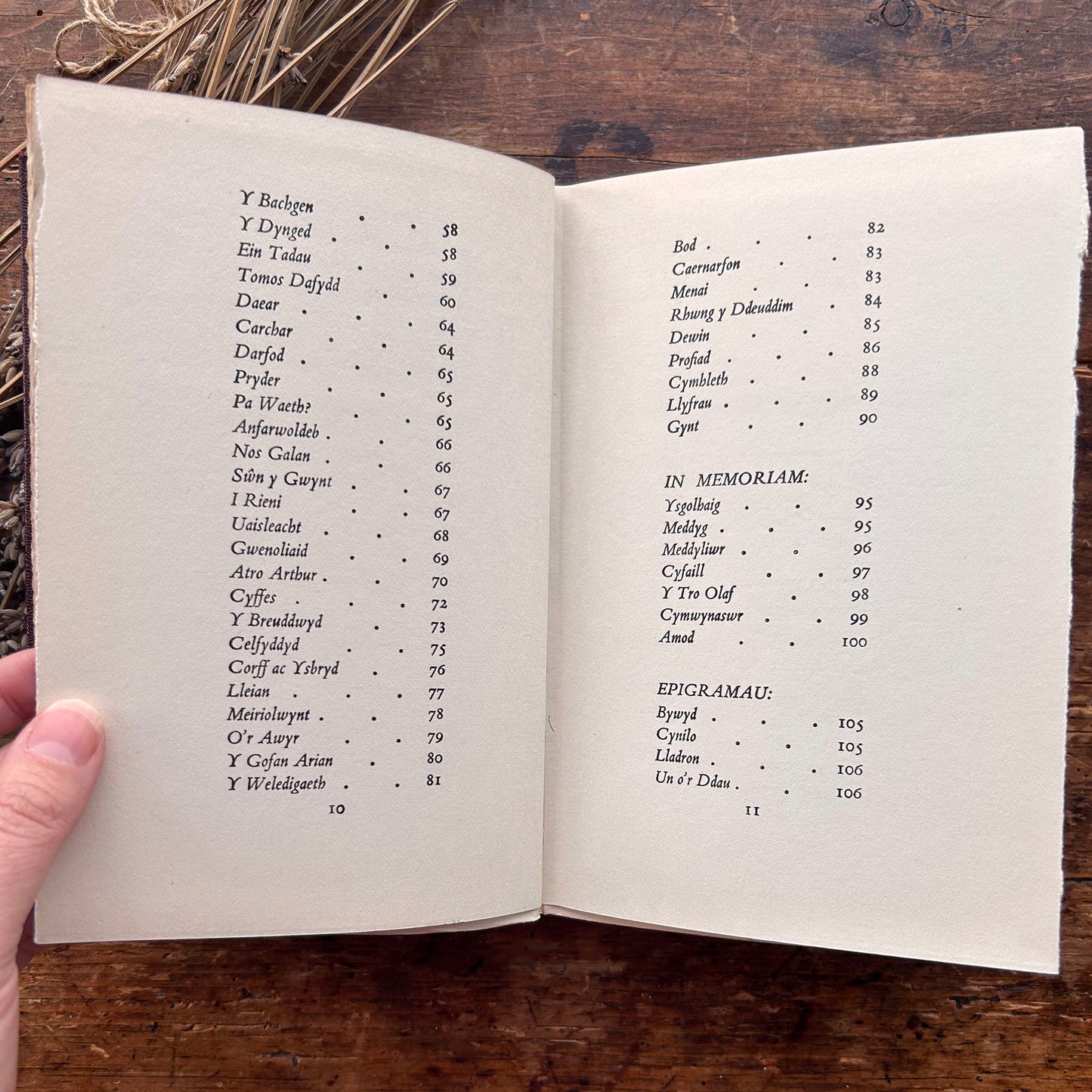 Manion - T Gwynn Jones - 1930 (Preloved)