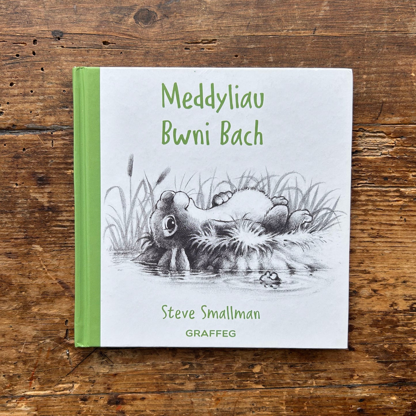 Meddyliau Bwni Bach - Steve Smallman (Preloved)