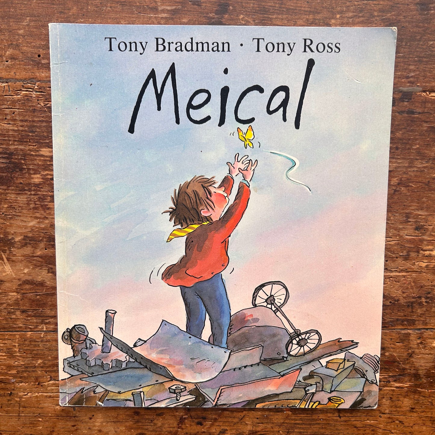 Meical - Tony Bradman & Tony Ross - 1993 (Preloved)