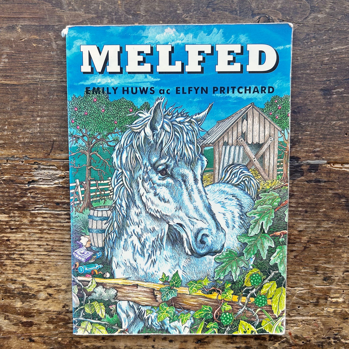Melfed - Emily Huws ac Elfyn Pritchard - 1995 (Preloved)