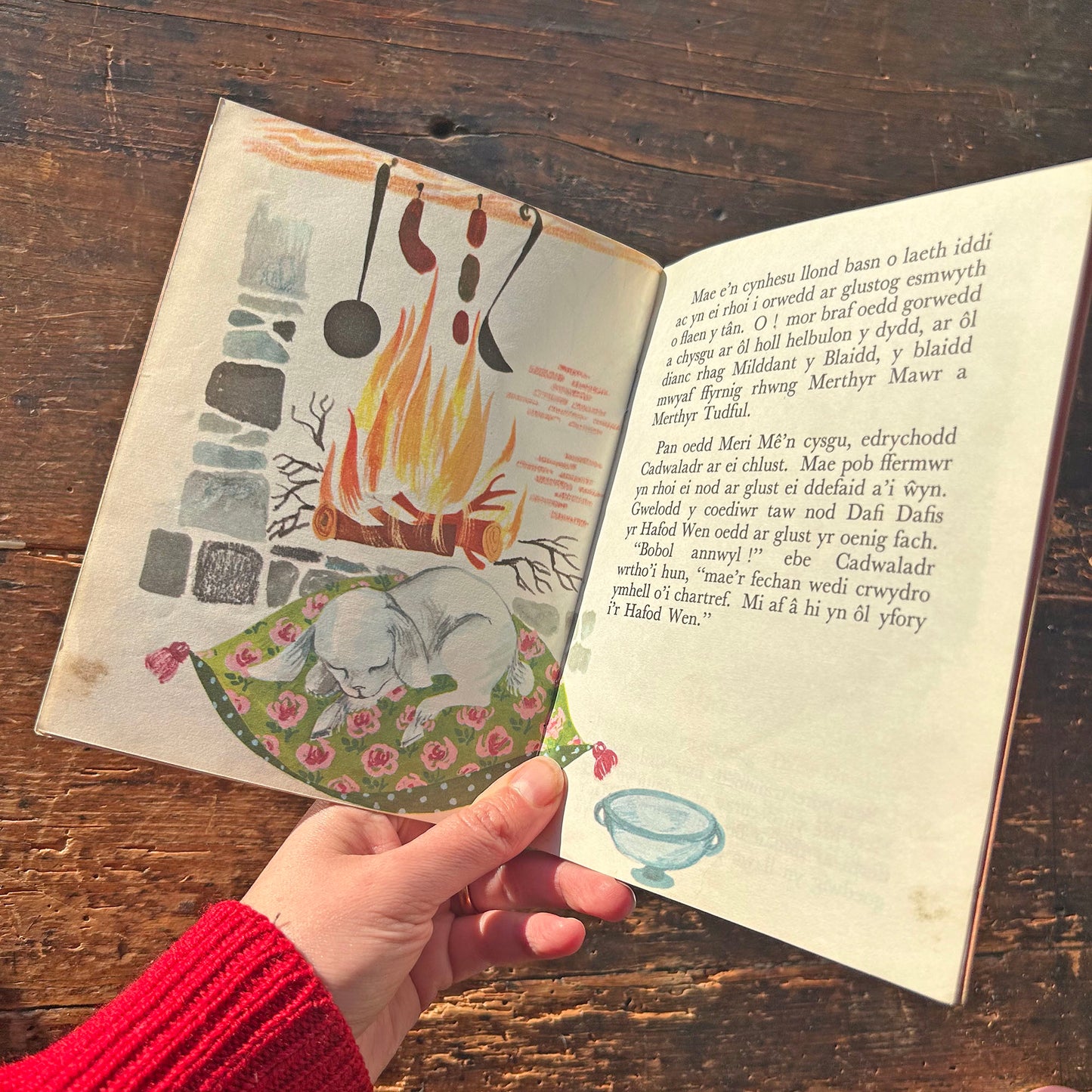 Meri Mê Yr Oenig Fach - Vintage Welsh Book (Preloved)