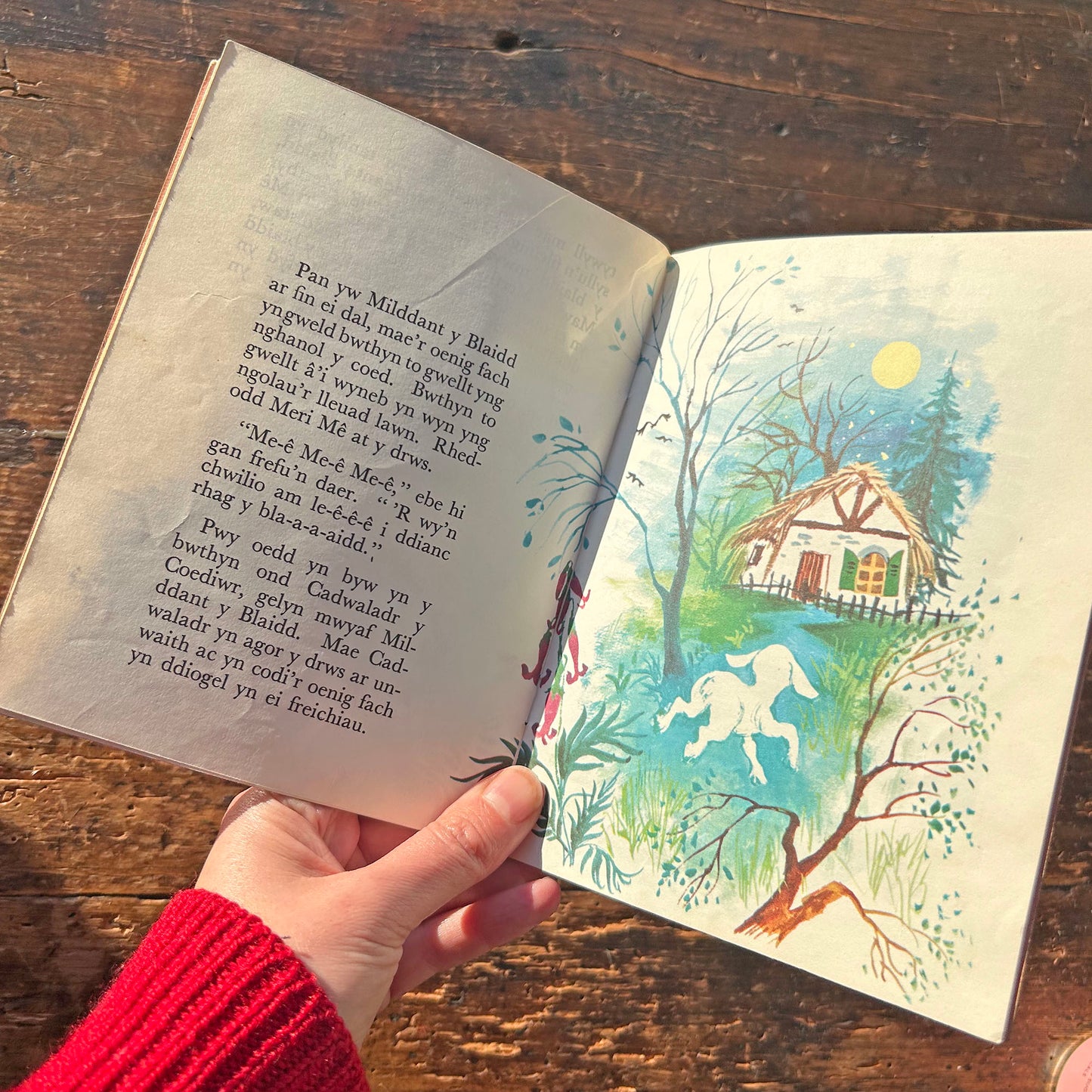 Meri Mê Yr Oenig Fach - Vintage Welsh Book (Preloved)