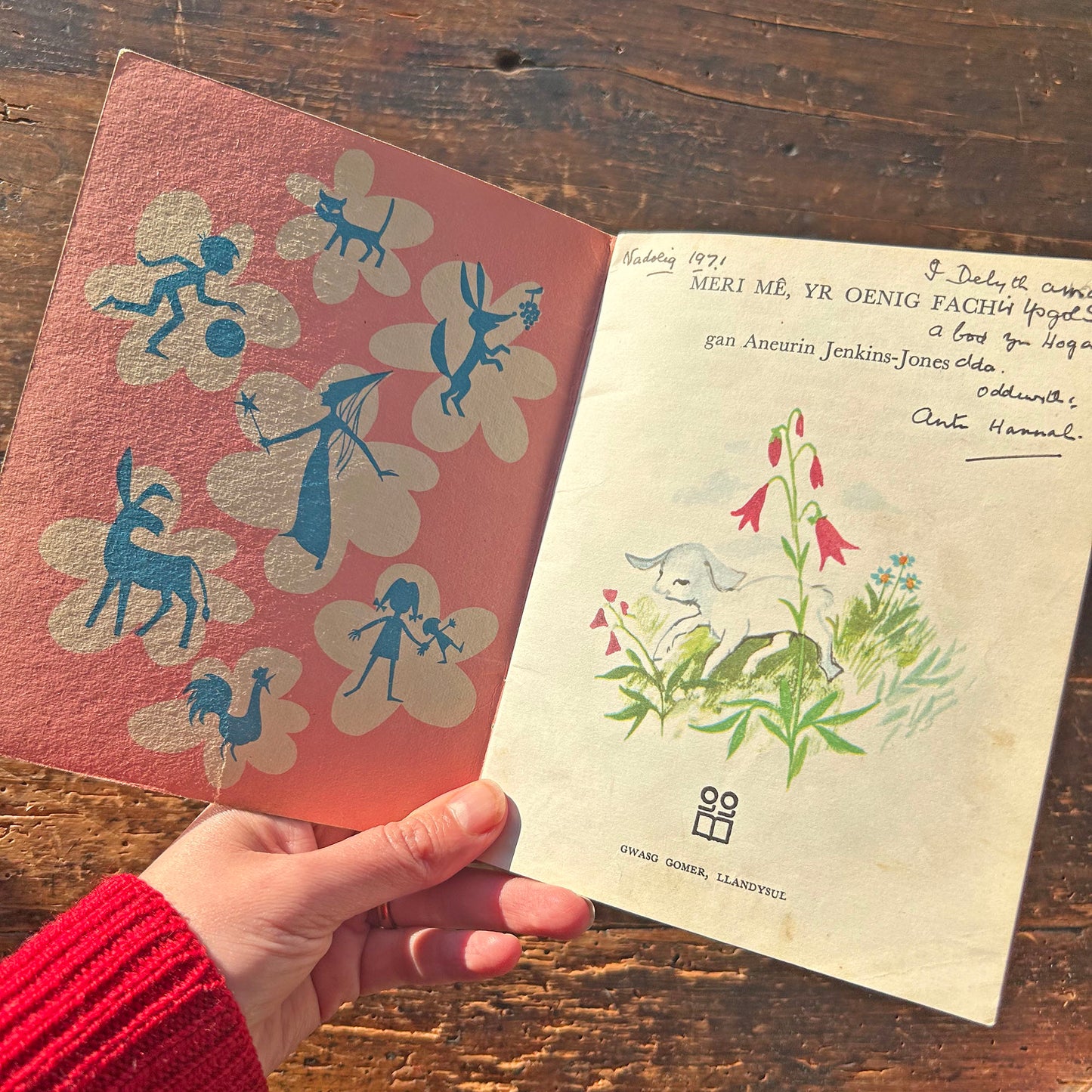 Meri Mê Yr Oenig Fach - Vintage Welsh Book (Preloved)