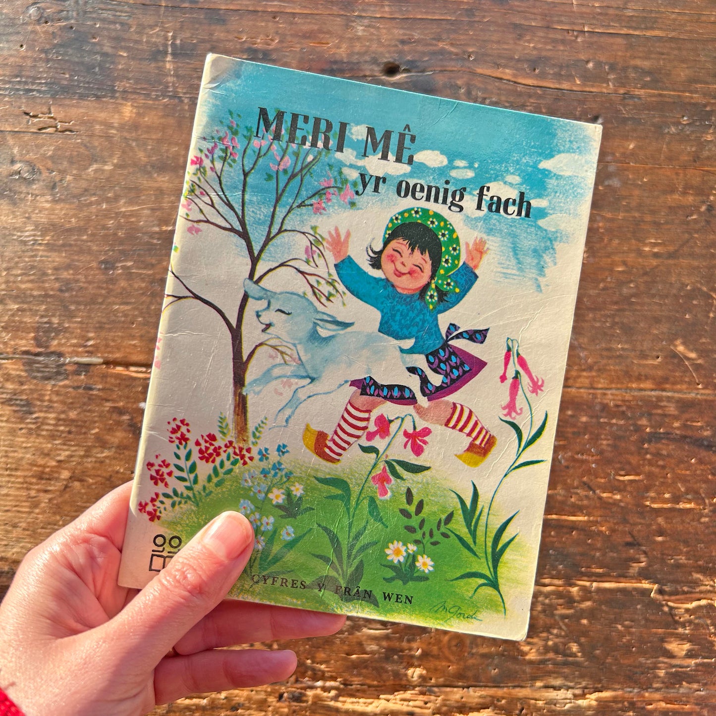Meri Mê Yr Oenig Fach - Vintage Welsh Book (Preloved)