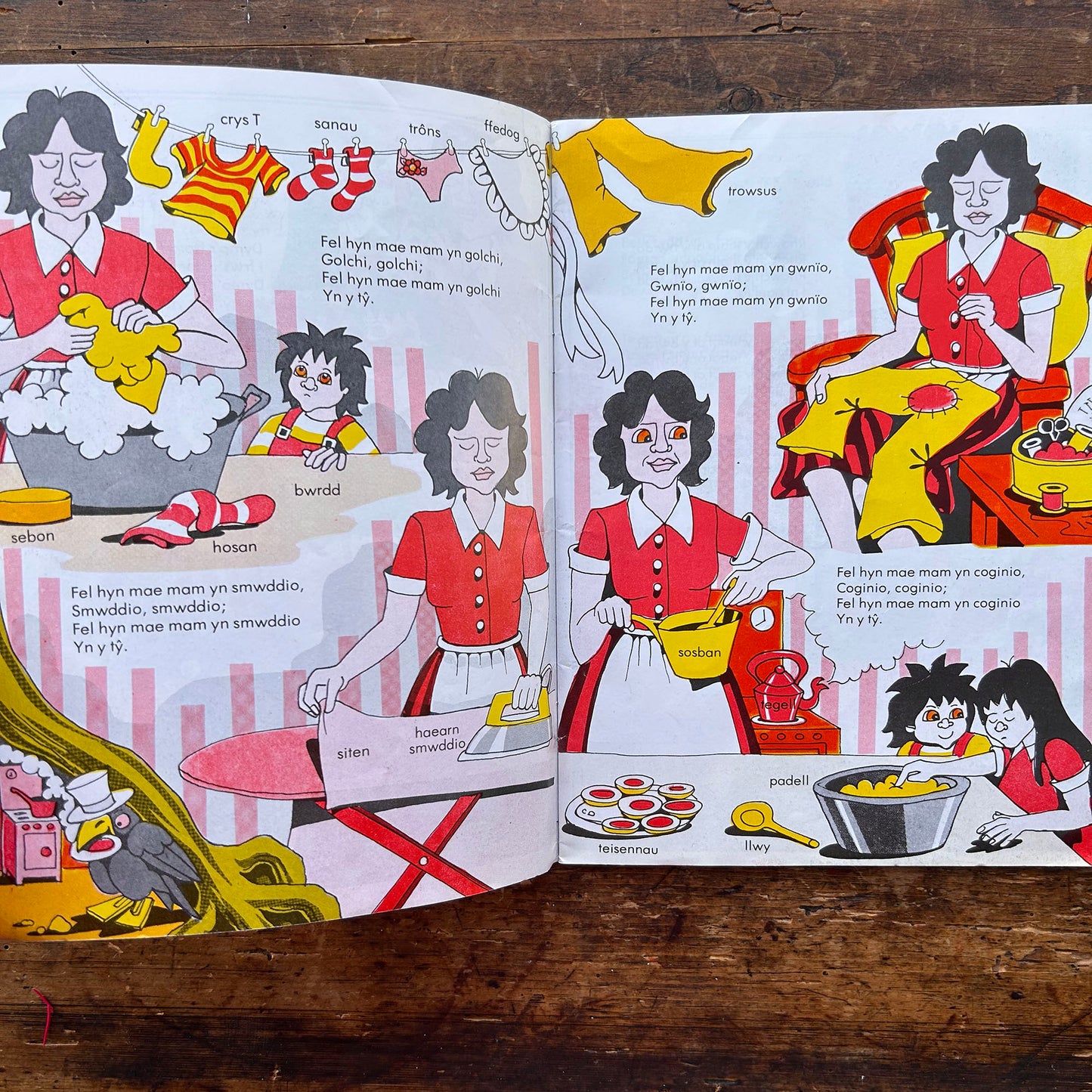 Mi Welais Jac-y-Do - Welsh Nursery Rhymes - Anne Brooke & Lin Jenkins - 1992 (Preloved)