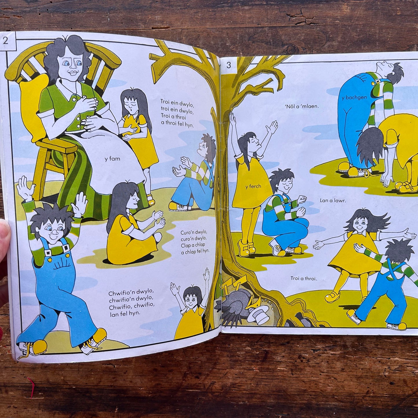 Mi Welais Jac-y-Do - Welsh Nursery Rhymes - Anne Brooke & Lin Jenkins - 1992 (Preloved)