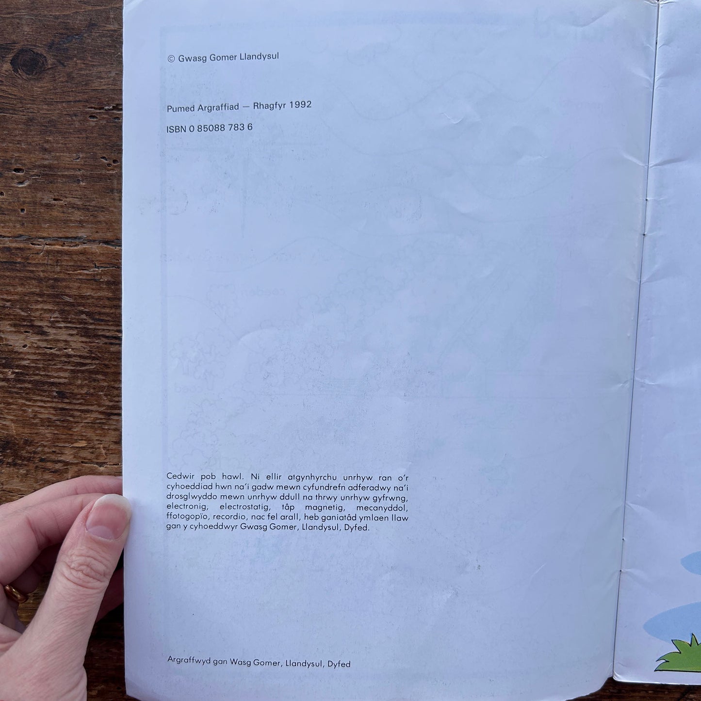 Mi Welais Jac-y-Do - Welsh Nursery Rhymes - Anne Brooke & Lin Jenkins - 1992 (Preloved)