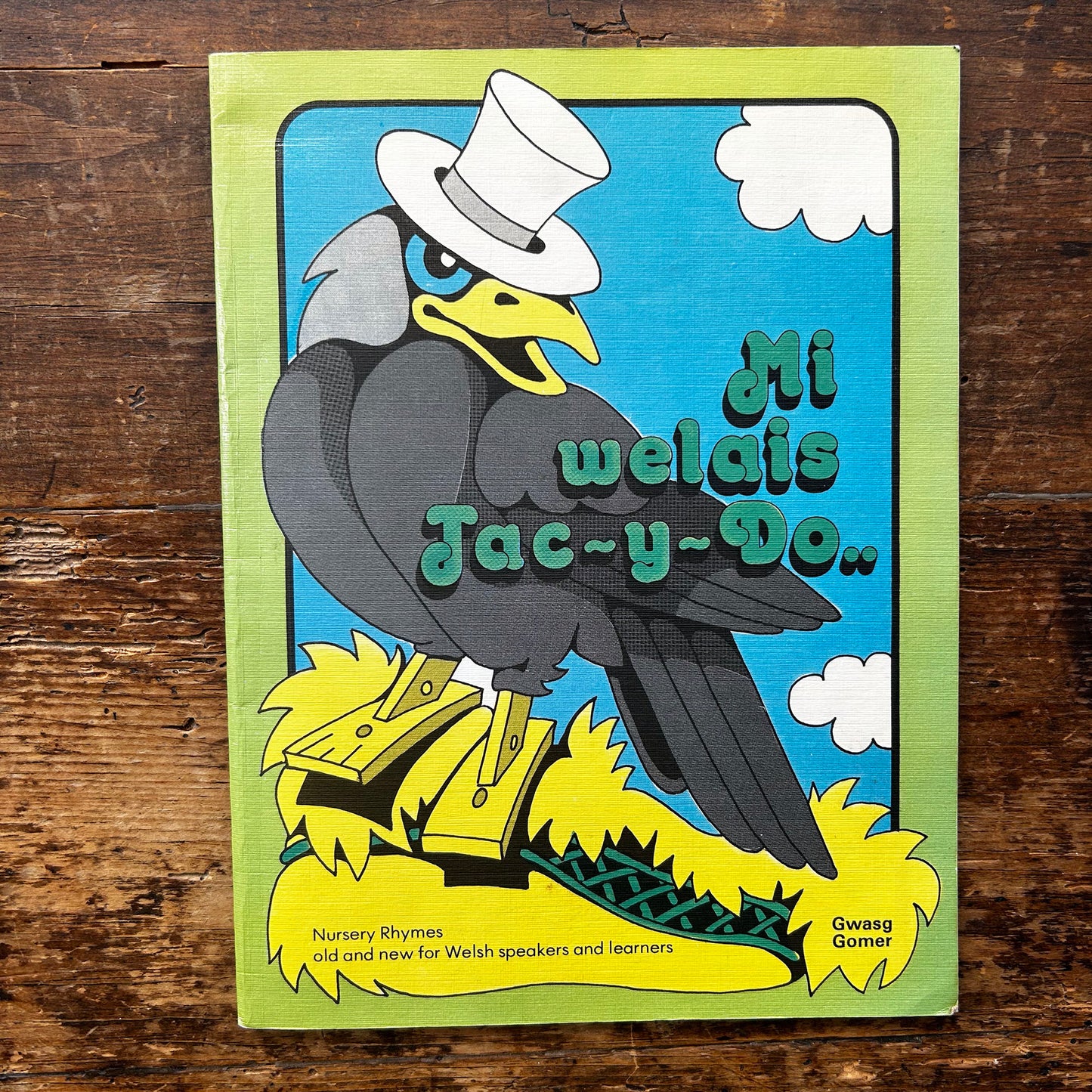 Mi Welais Jac-y-Do - Welsh Nursery Rhymes - Anne Brooke & Lin Jenkins - 1980 (Preloved)