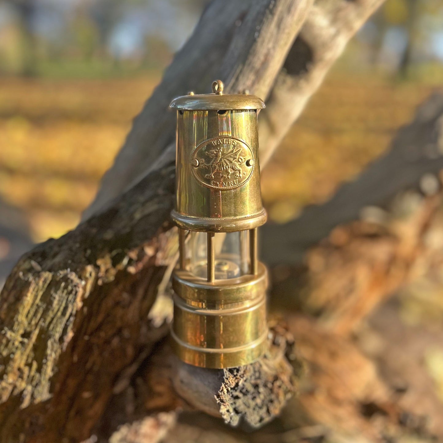 Miner's Lamp Music Box - Vintage Brass - Wales / Cymru (Preloved)