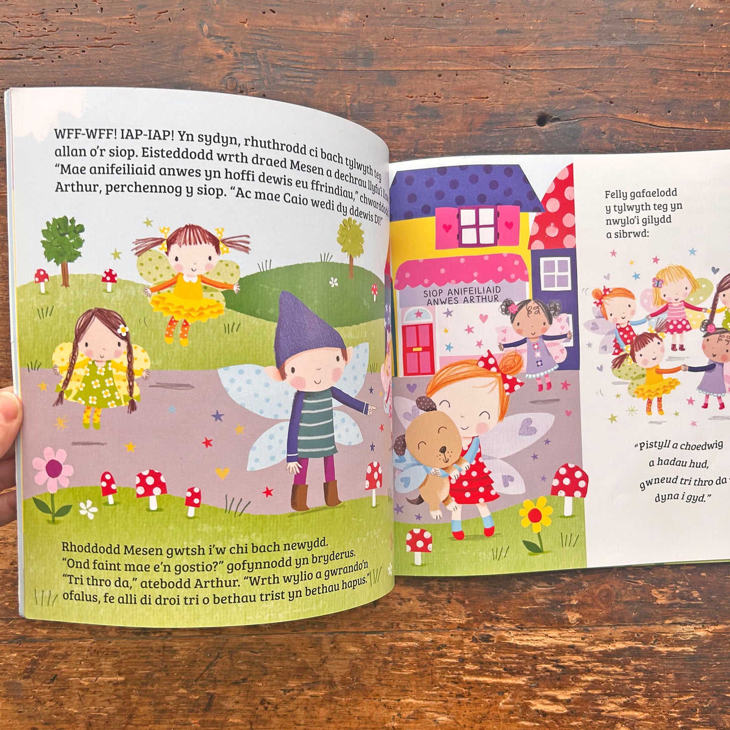 Miri y Dylwythen Deg A'i Ffrindiau Bach - Caio, Ci Bach y Tylwyth Teg (Preloved)