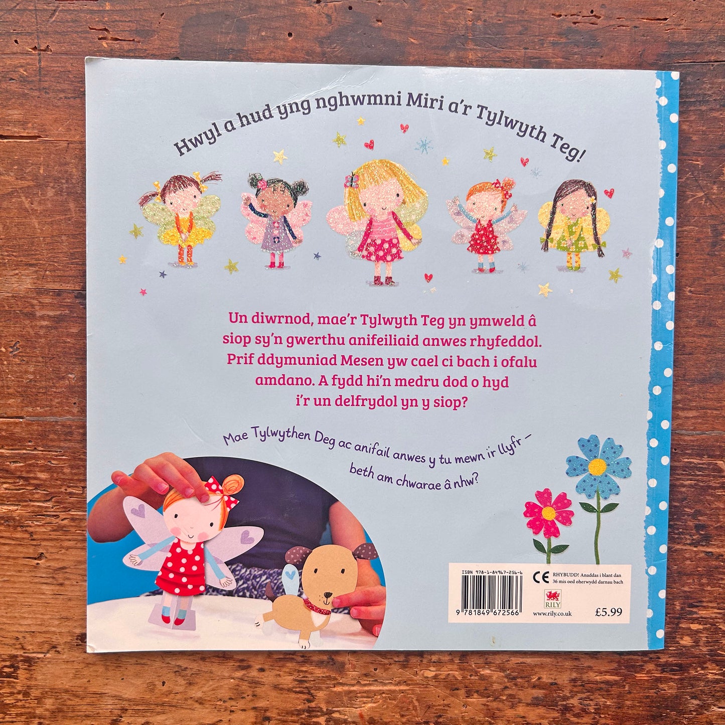 Miri y Dylwythen Deg A'i Ffrindiau Bach - Caio, Ci Bach y Tylwyth Teg (Preloved)