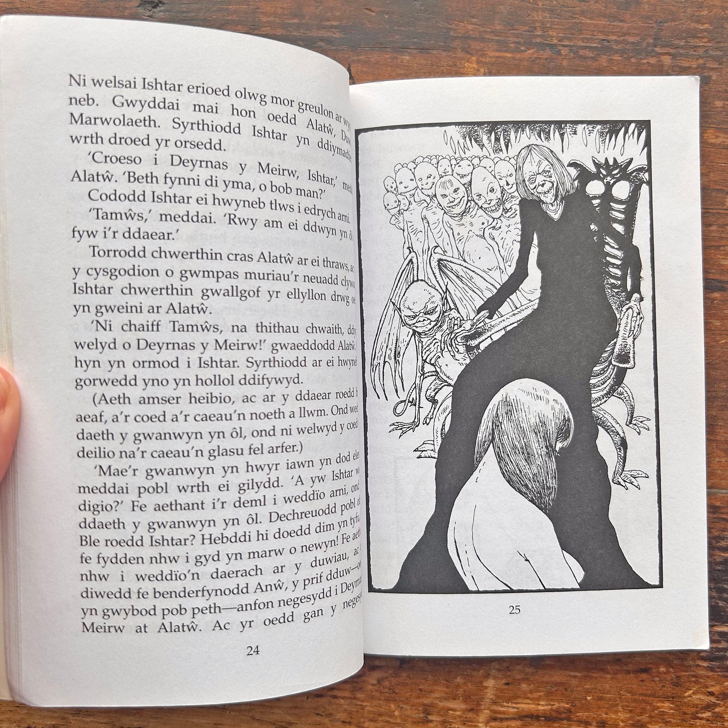 Modrwy Aur Y Bwda - A Storiau Eraill (Preloved)