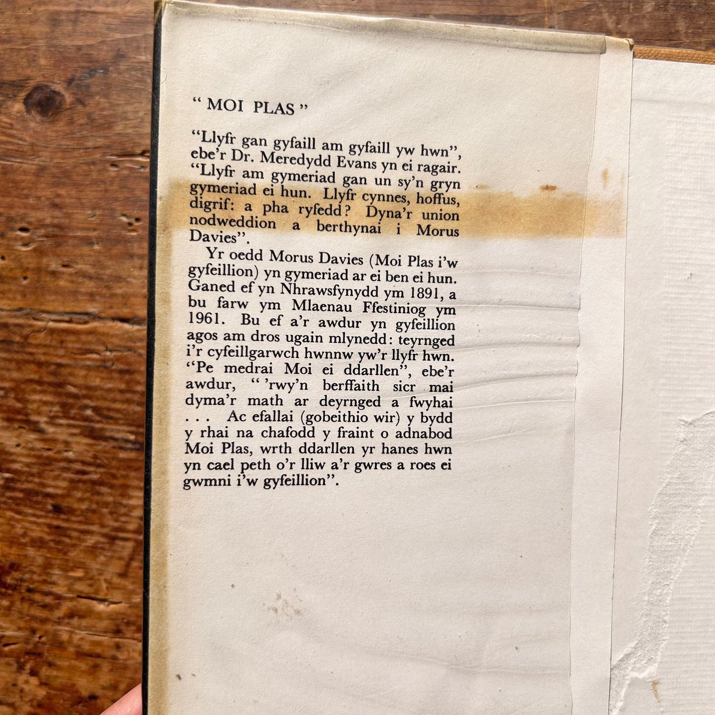 Moi Plas - John Ellis Williams - 1969 1st Edition (Preloved)